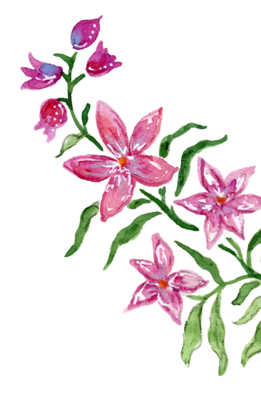 Watercolor illustration of pink and purple flowers with green leaves on a black background.