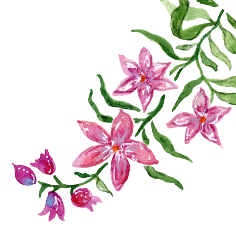 Pink and purple star-shaped flowers on green vines.