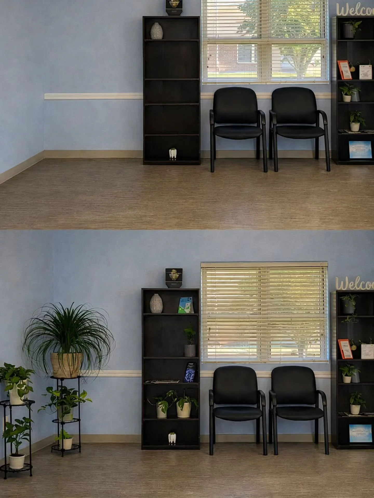 ✨ From sterile &rarr; to stunning ✨

What once felt like just another office now feels alive, elevated, and intentionally designed. A few thoughtfully placed plants can completely transform how a space looks and how it feels &mdash; adding warmth, mo