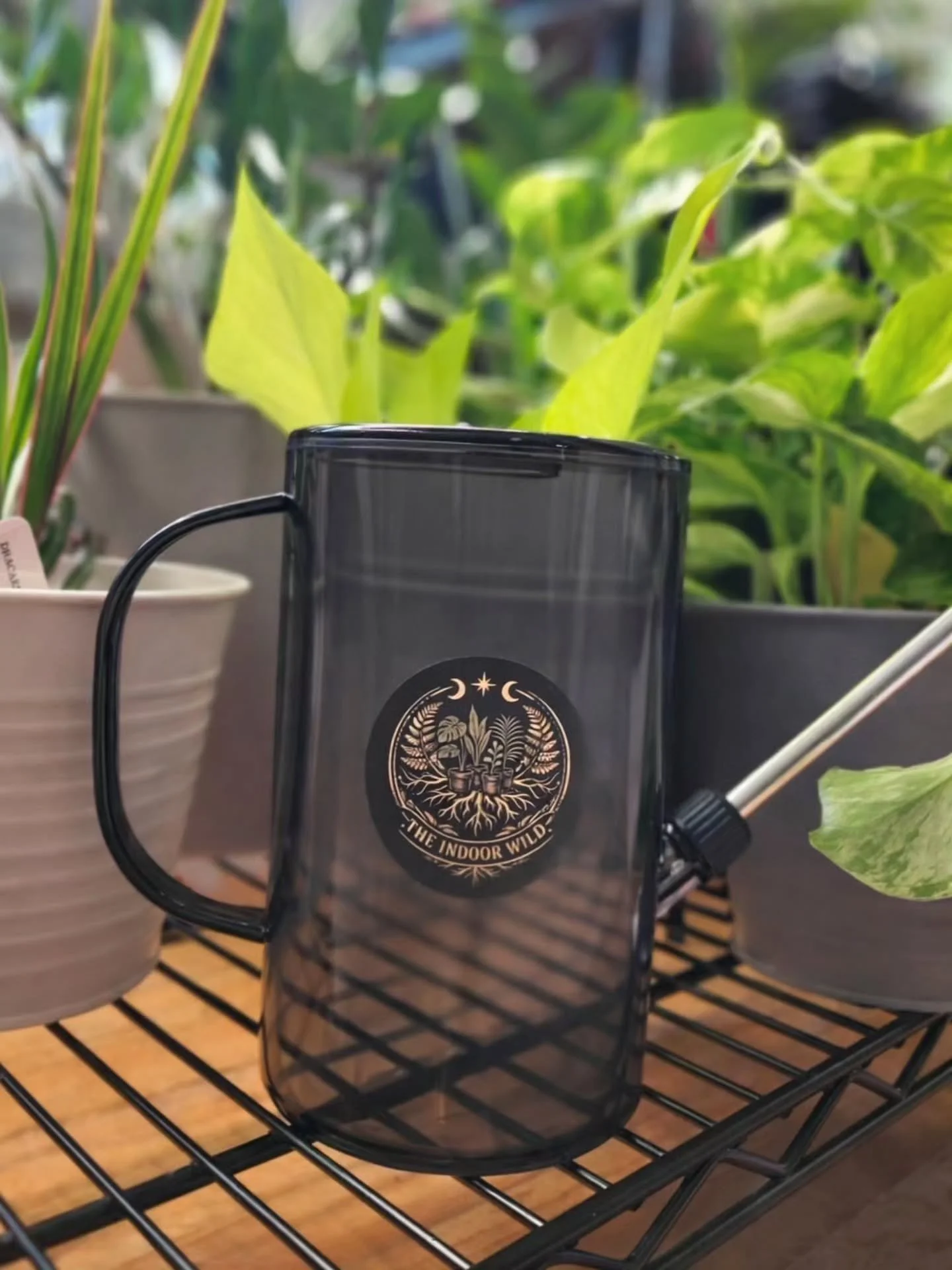 Stickers are in!! 
Now maintenance calls are handled in branded style. 🥰😍

#TheIndoorWild 
#plantstagram 
#plants 
#indoorplants 
#propogatingplants