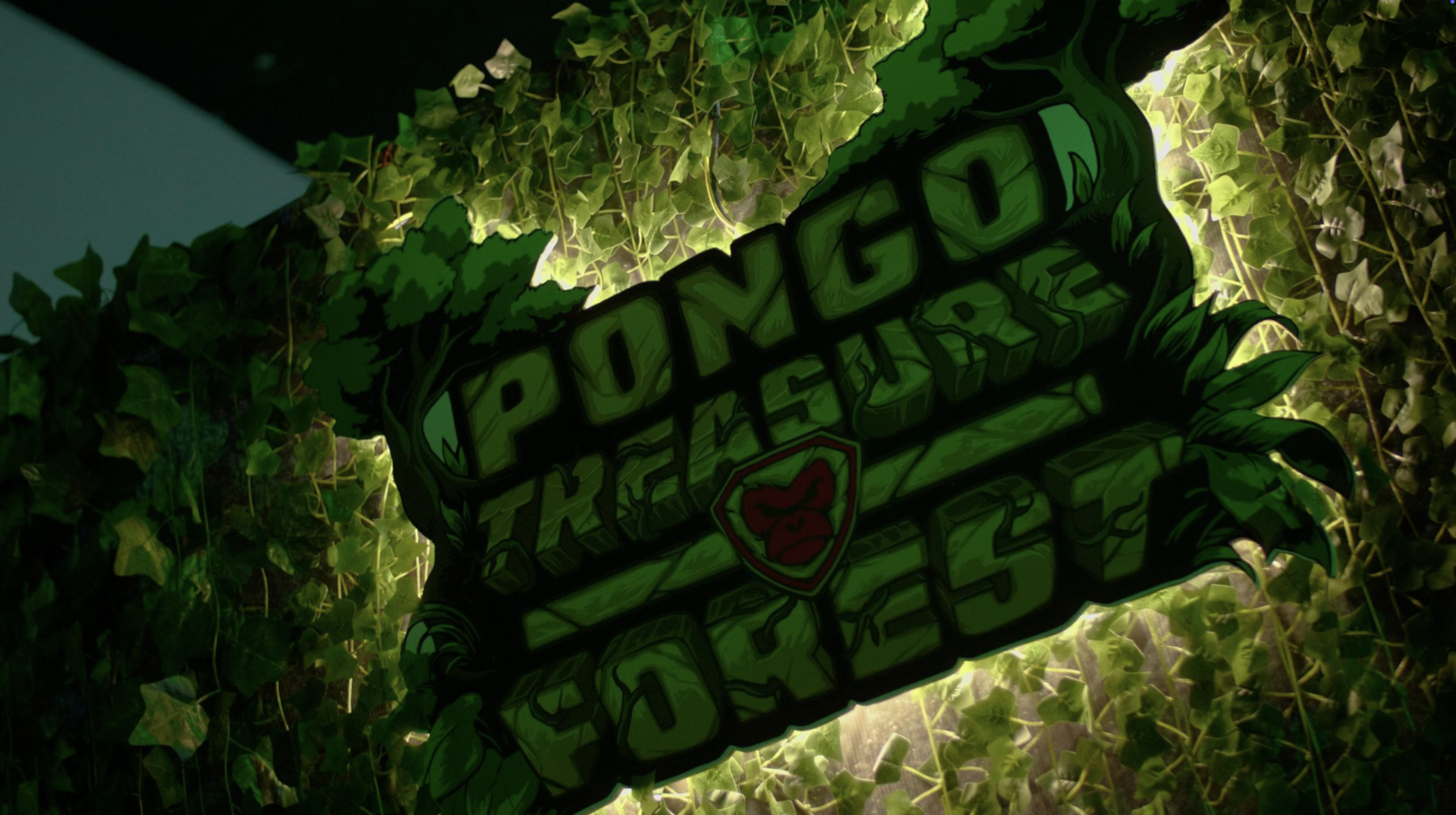 Pongo Escape Room Highlight 8.png