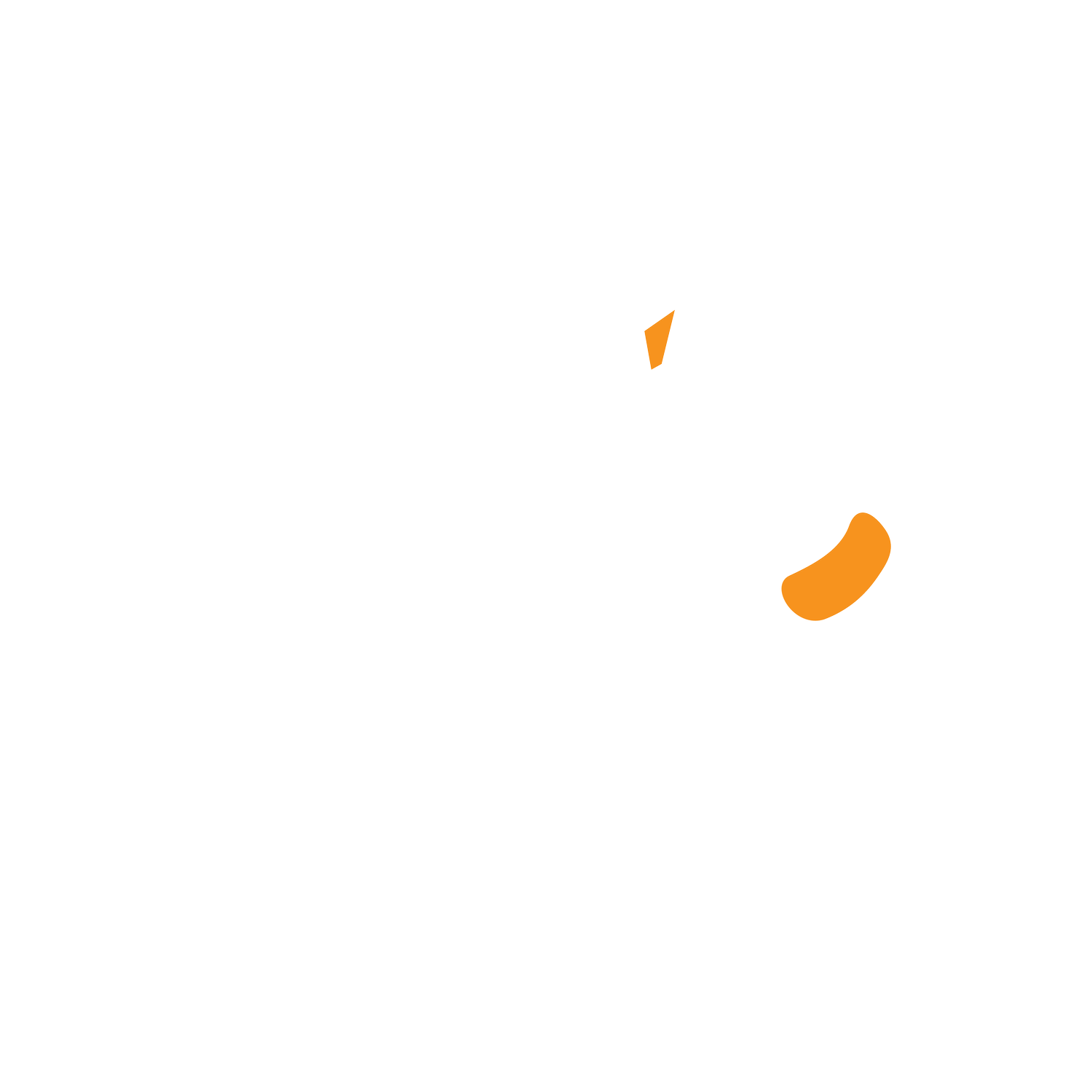 Cat's Project by The Lazy Monday