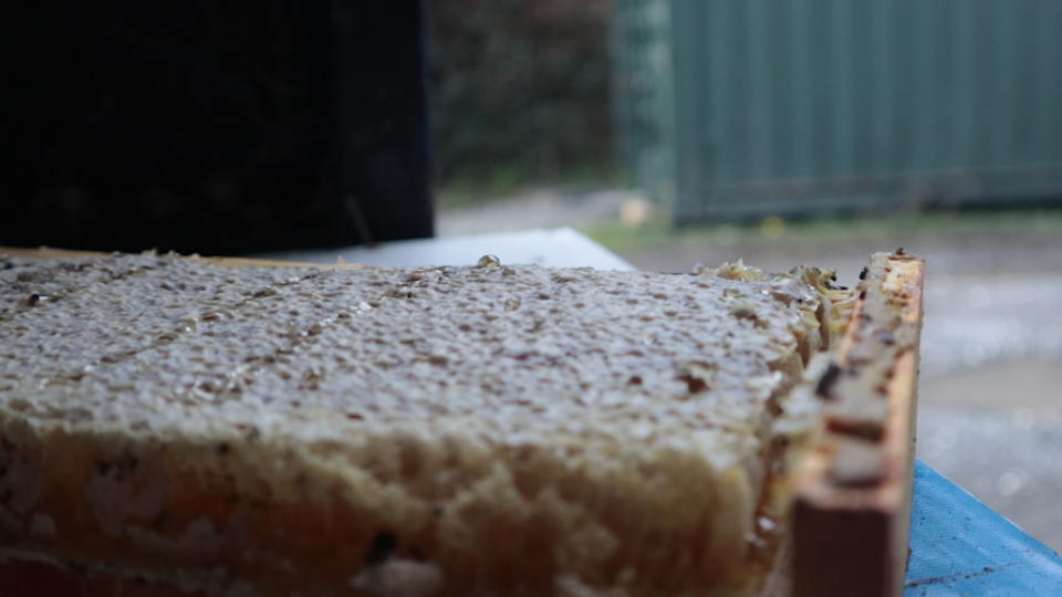 Squaresapace_Homepagevideo (0-00-04-05).png