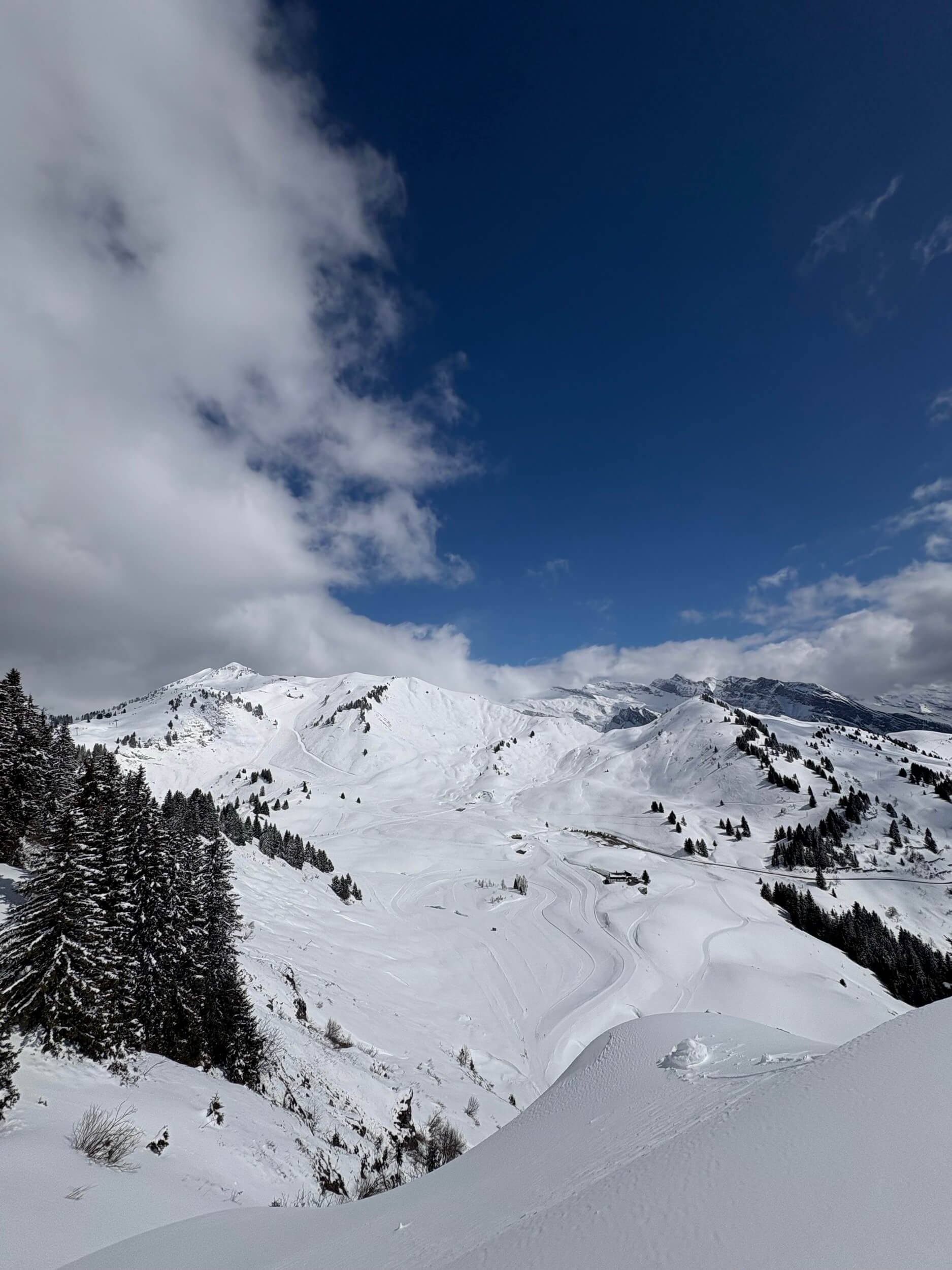 Snow-covered mountain landscape with pine trees, ski tracks, and a partly cloudy blue sky.