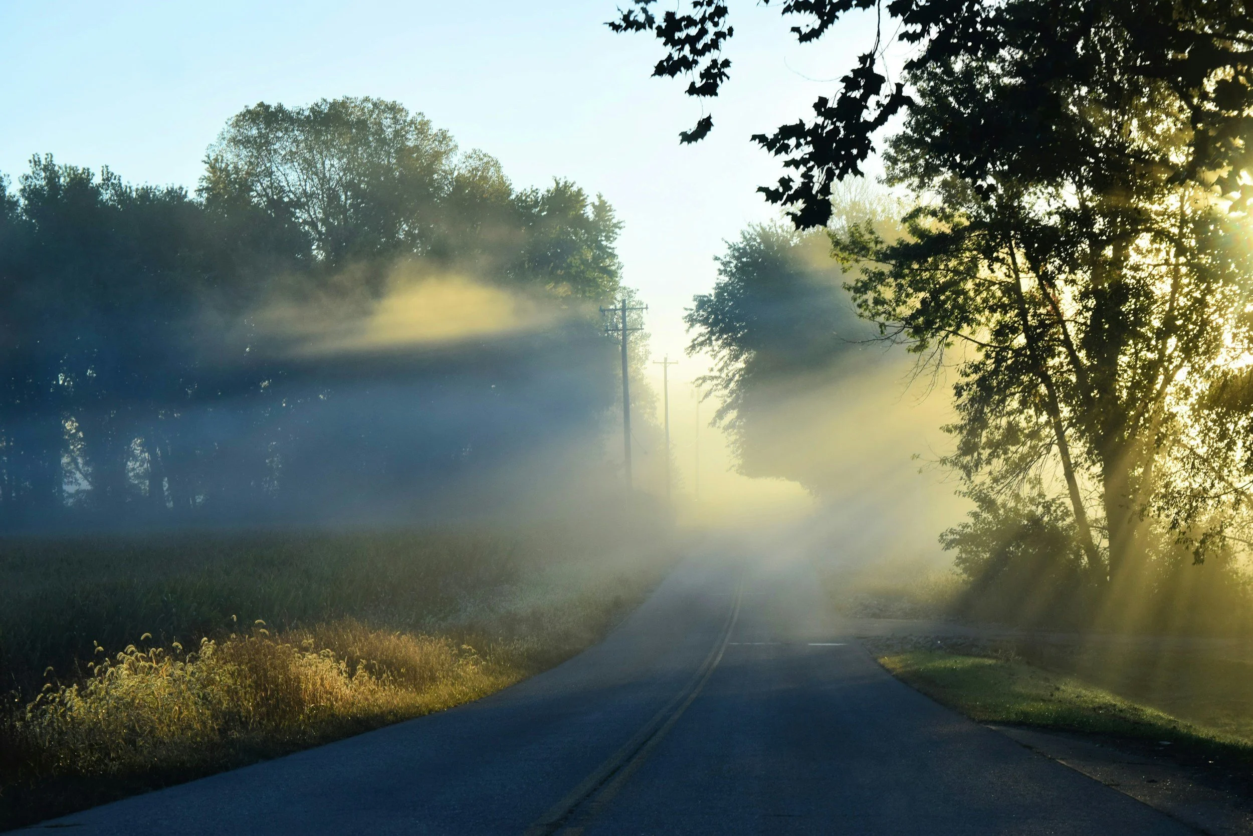 A peaceful rural scene with a narrow road winding through green fields and surrounded by trees, with sunlight filtering through morning fog.