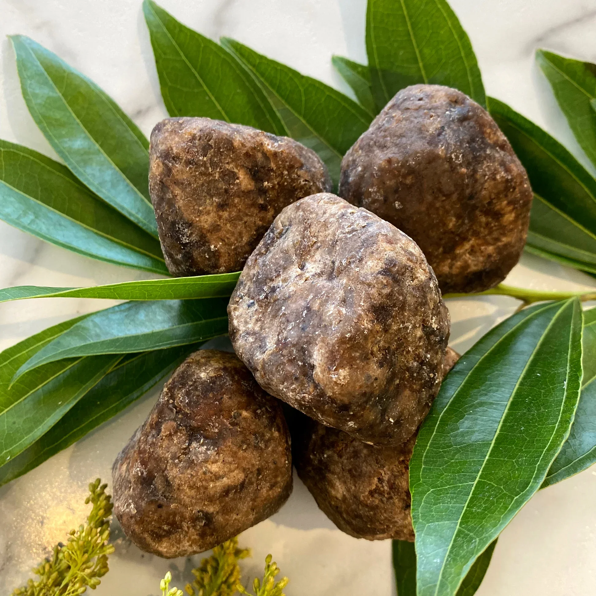 Black Soap Shampoo with Herbs