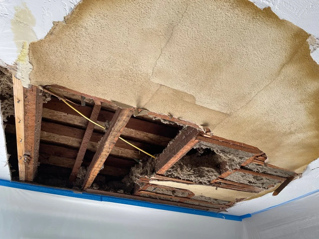 Ceiling with removed drywall exposing wooden beams, insulation, and electrical wiring.