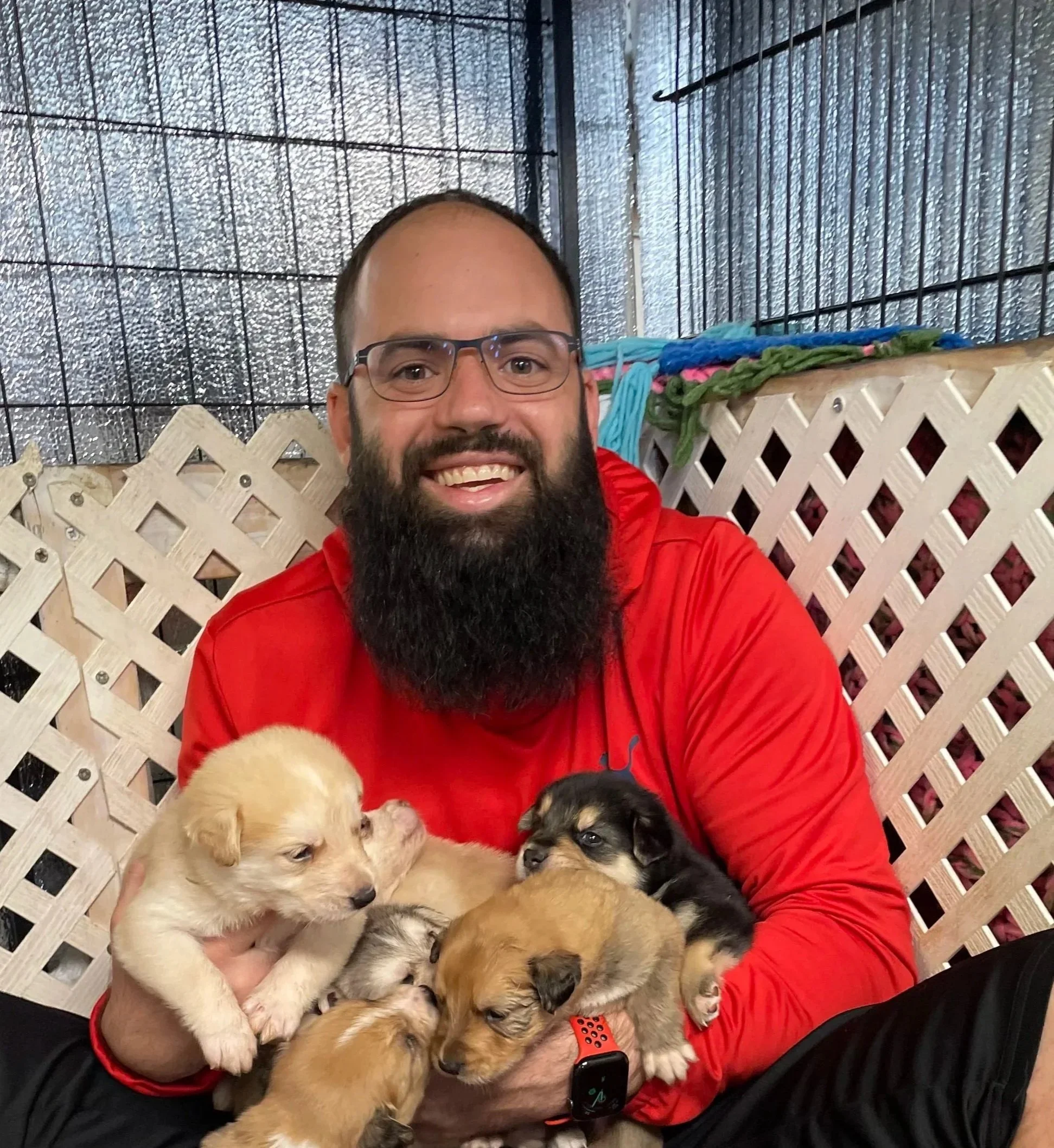 A smiling man with glasses and a beard wearing a red hoodie, holding multiple puppies of various colors, inside a fenced area with black and silver walls.