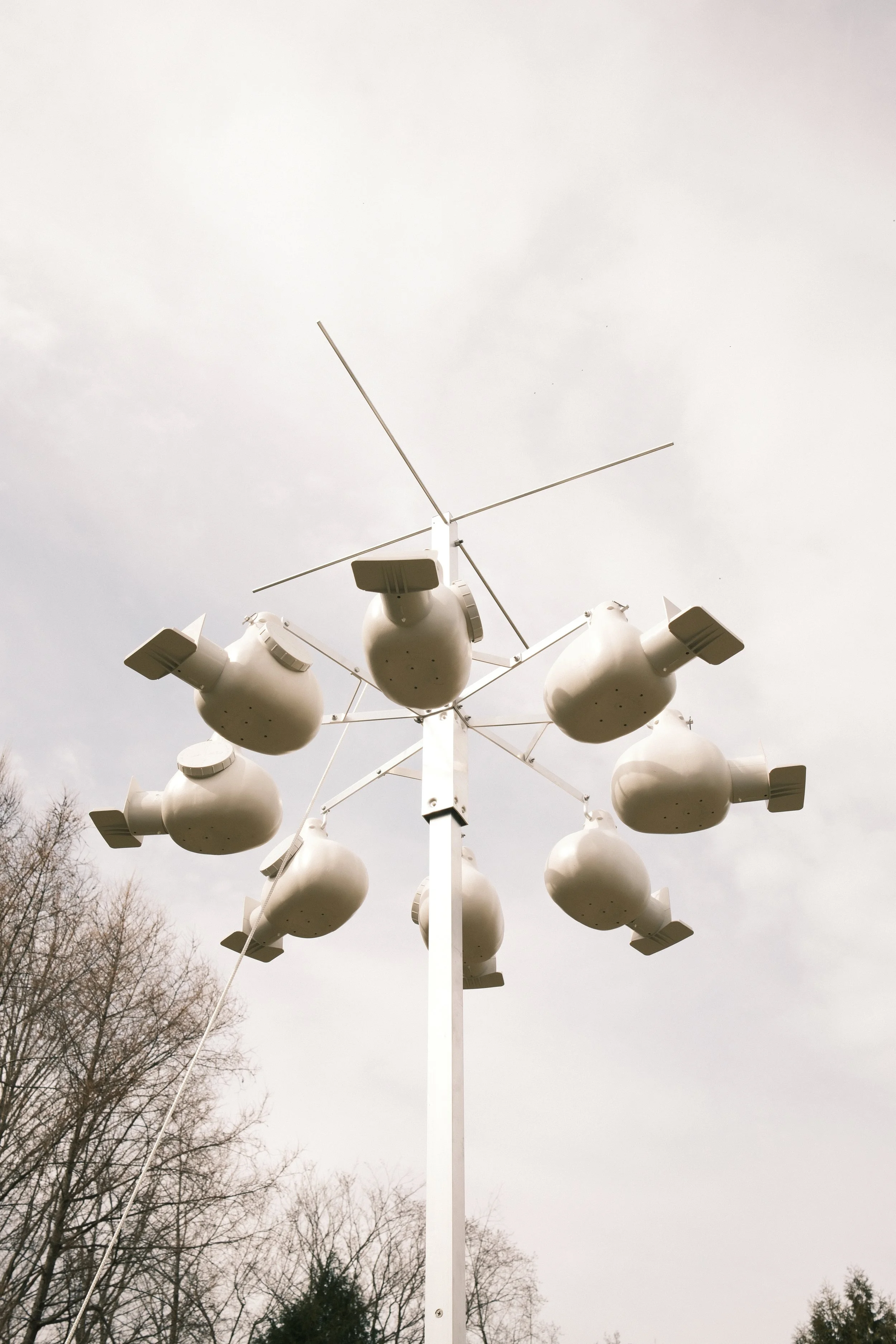 Purple Martin House