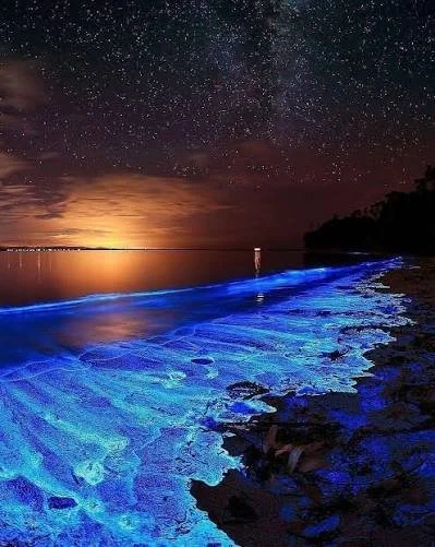 Bioluminescent bay night kayaking in Puerto Rico glowing blue water