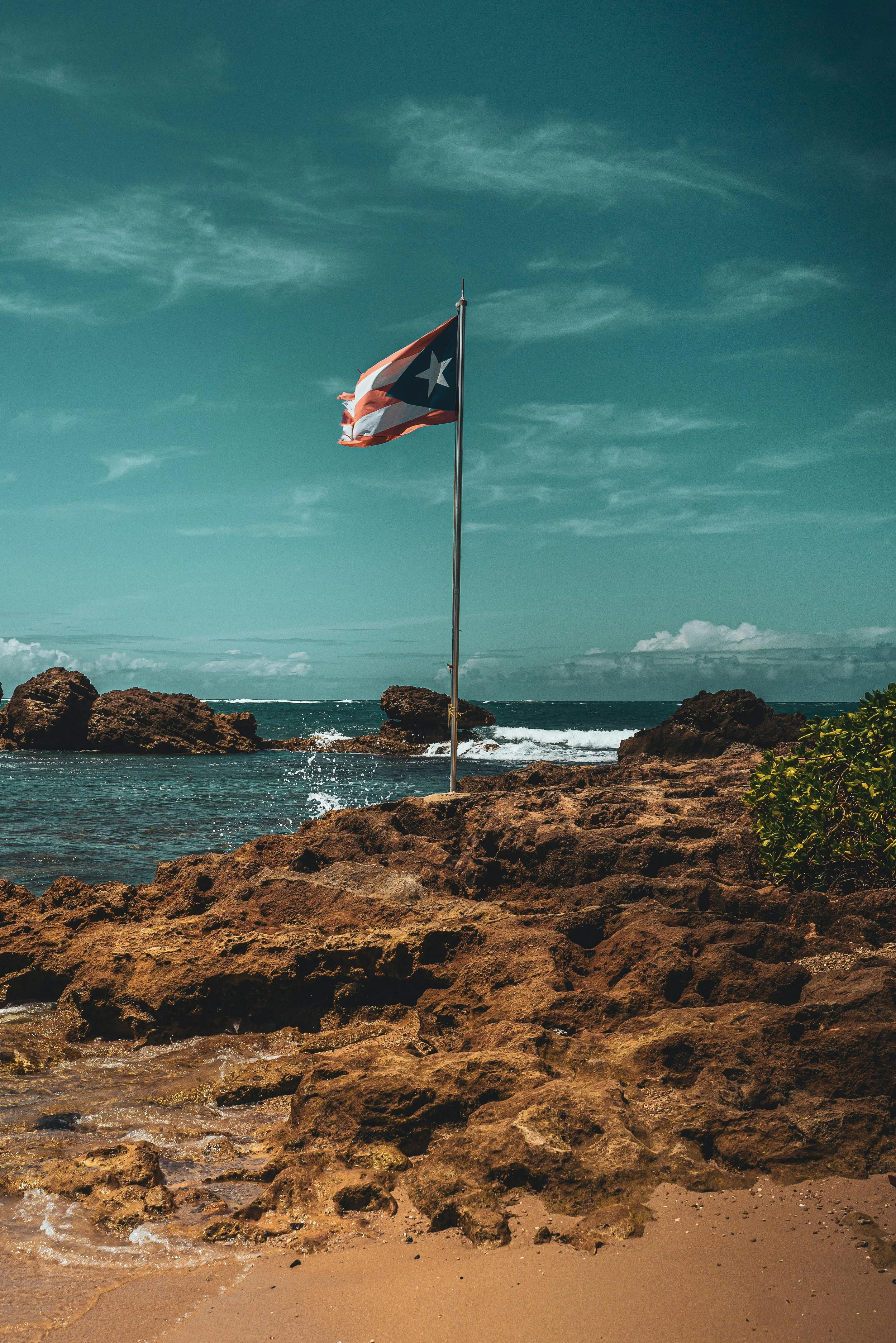 Tropical beach in Puerto Rico with palm trees and turquoise water