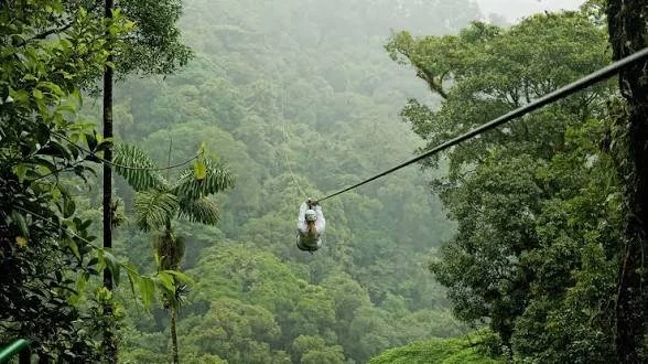 Zip line adventure over Puerto Rico rainforest canopy