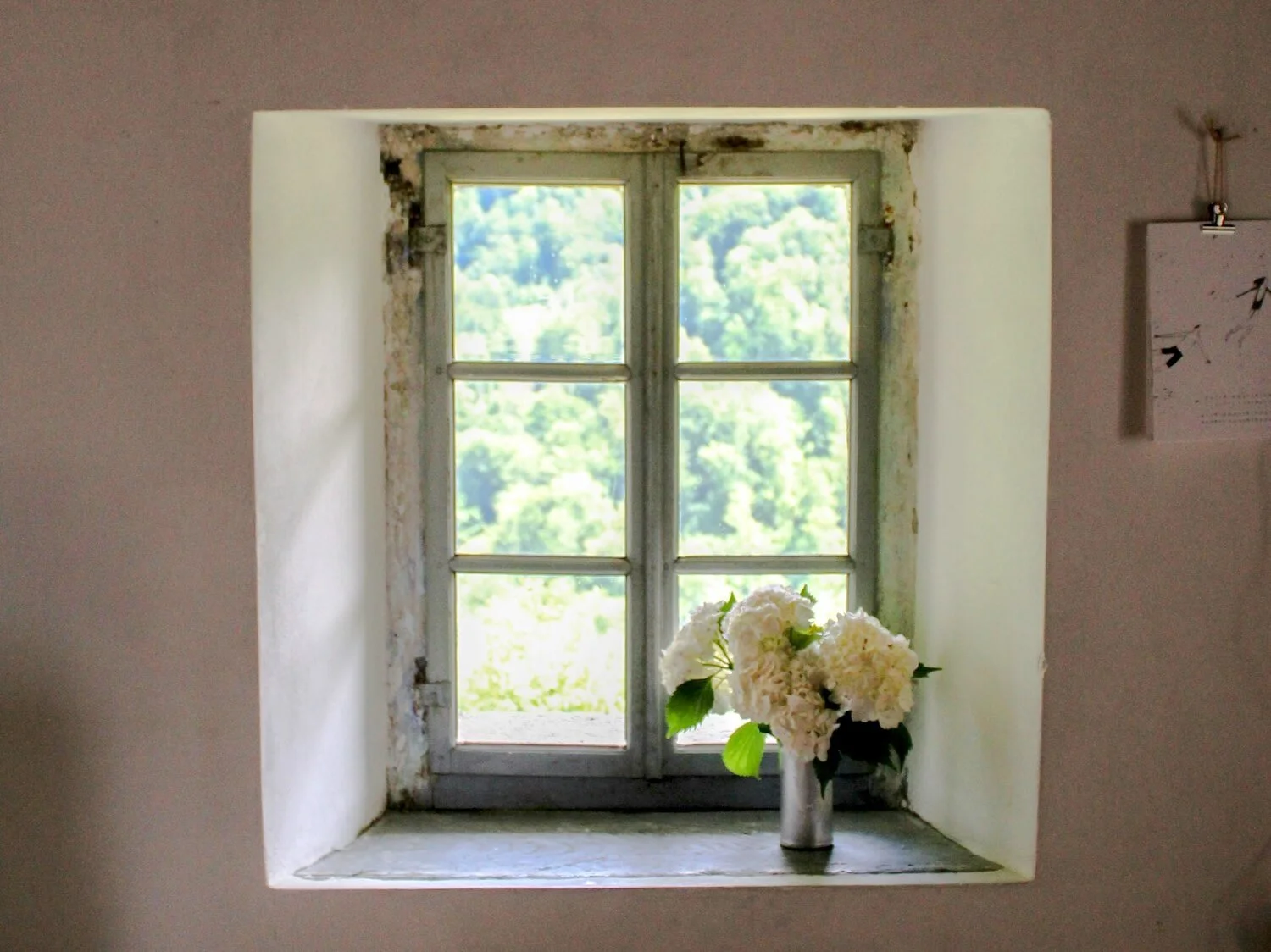 Fenster mit Blick ins Grüne und eine Vase mit weißen Blumen auf dem Fensterbrett.