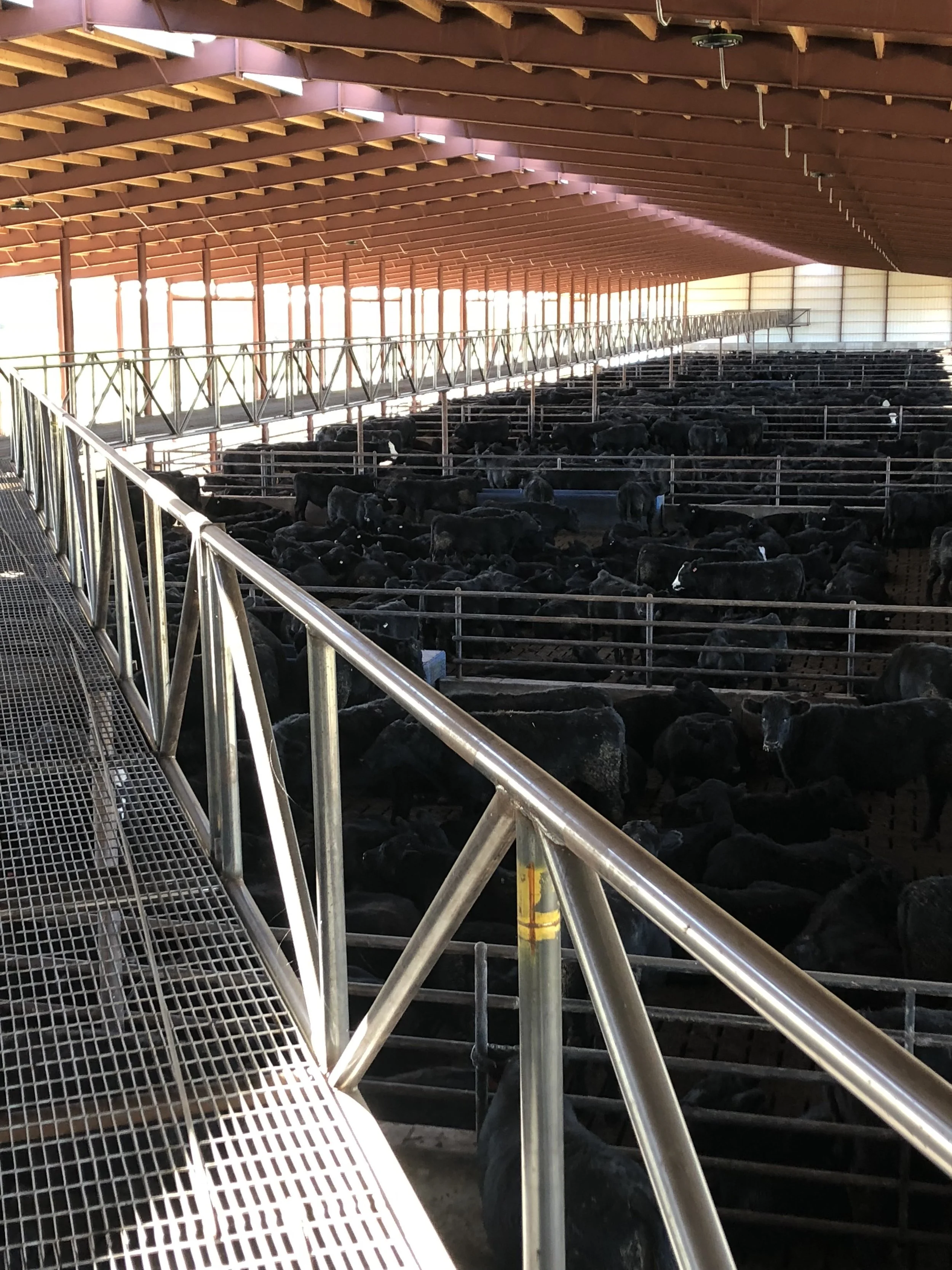 Gable Catwalk View 3.jpeg