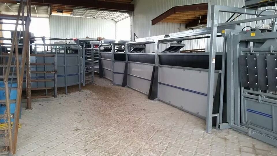 Cattle Handling.jpeg