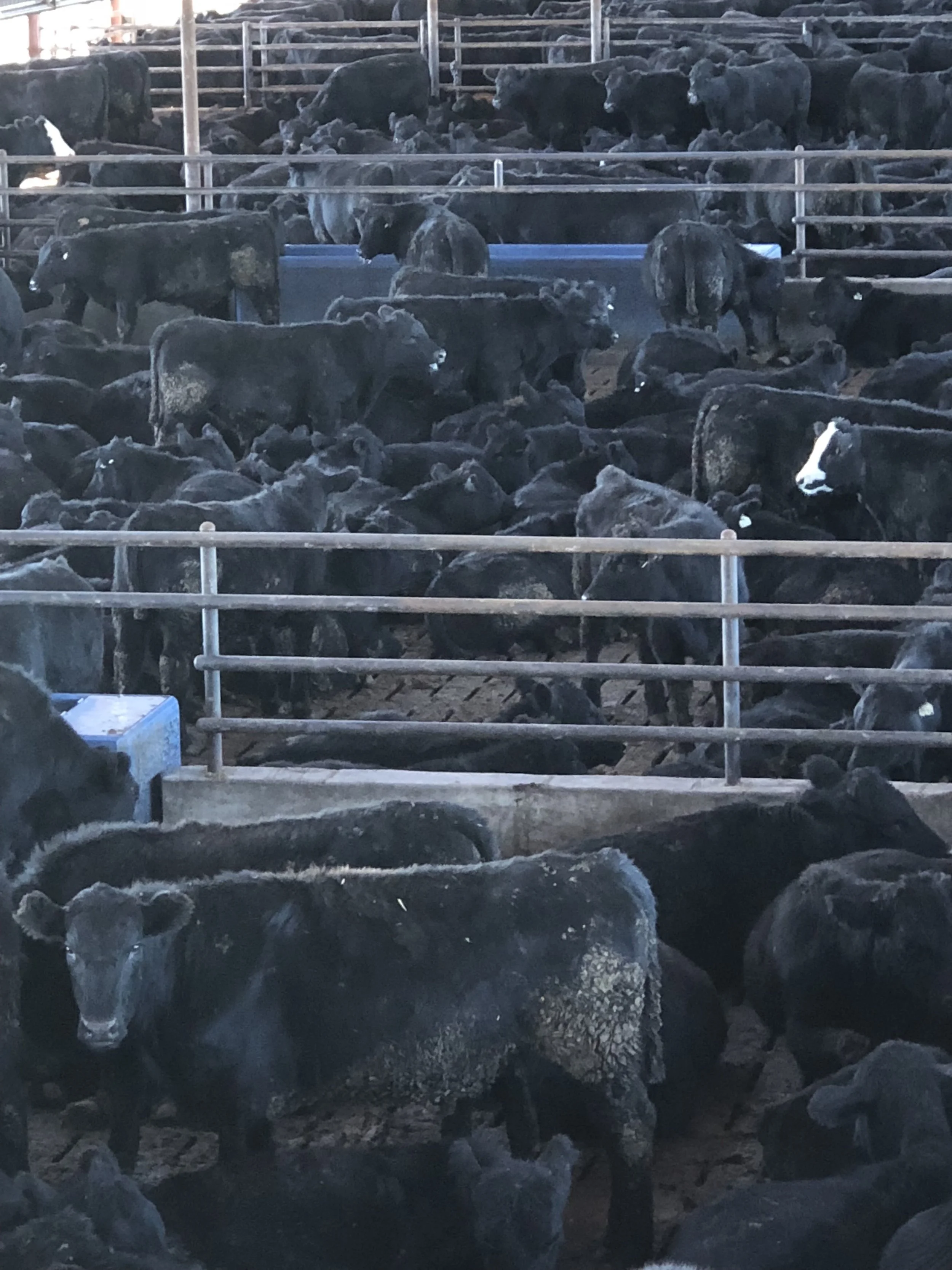 Gable Catwalk View 6.jpeg