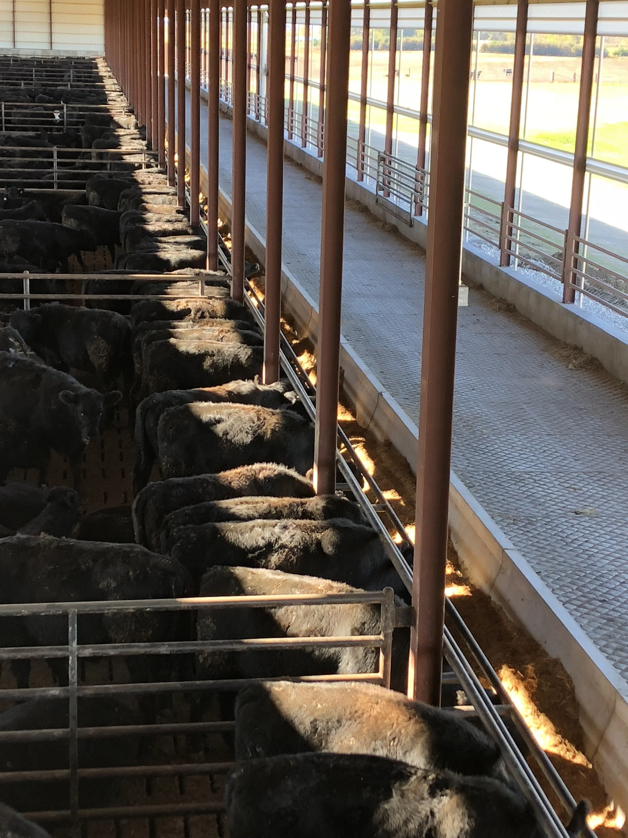 Gable Catwalk View 2.jpeg