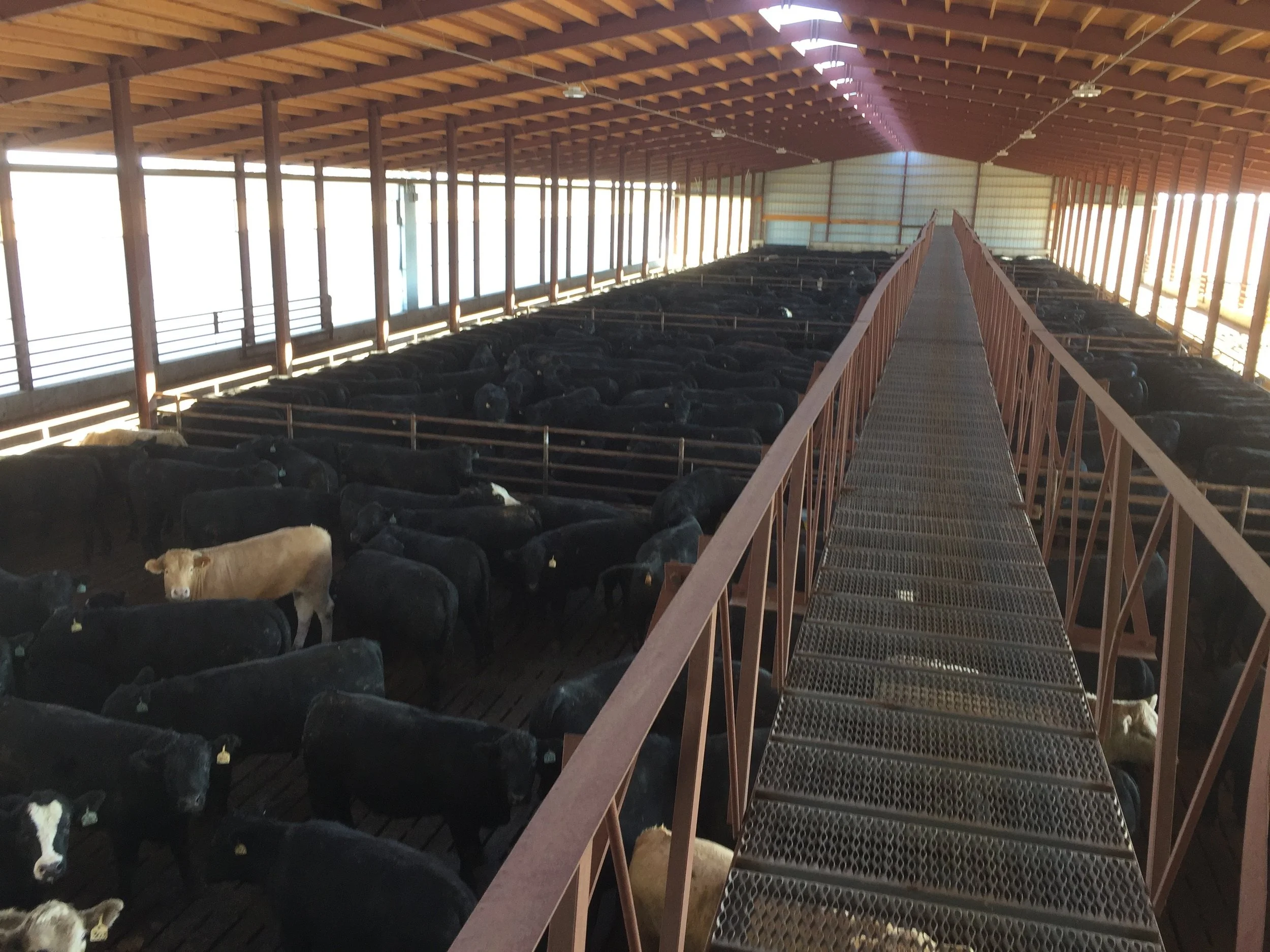 Gable Catwalk View 7.jpeg