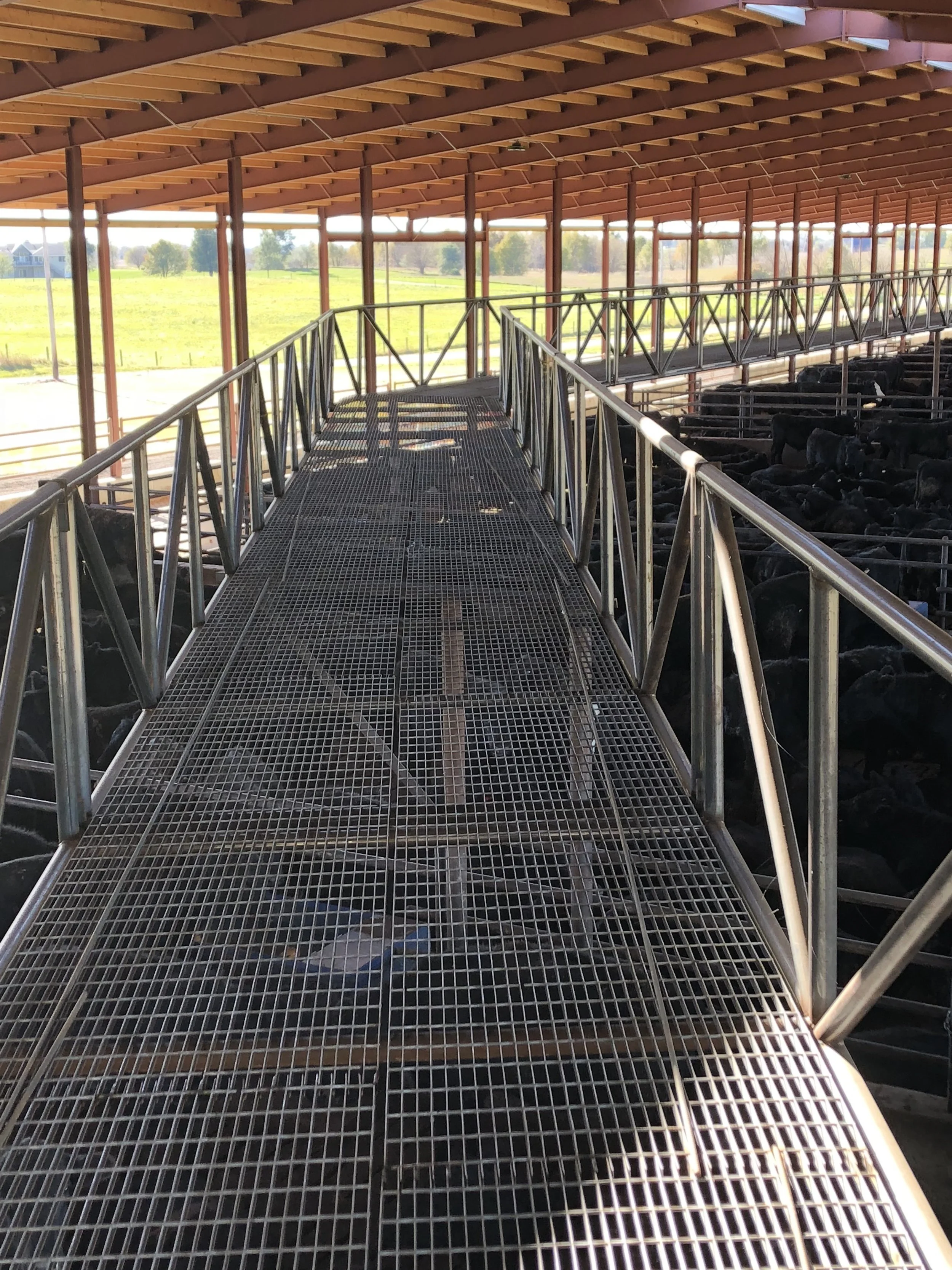 Gable Catwalk View 4.jpeg