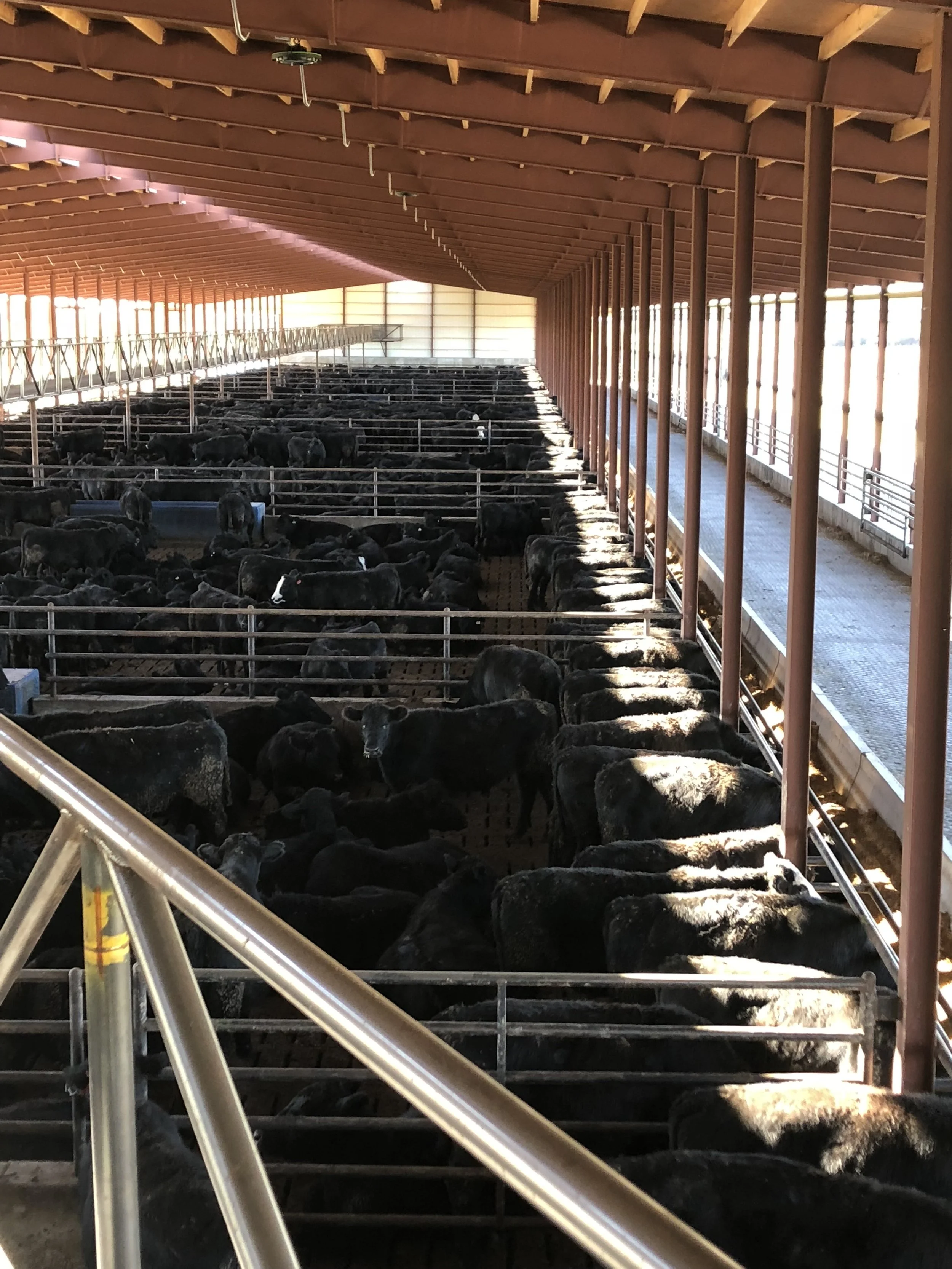 Cable Catwalk View 5.jpeg