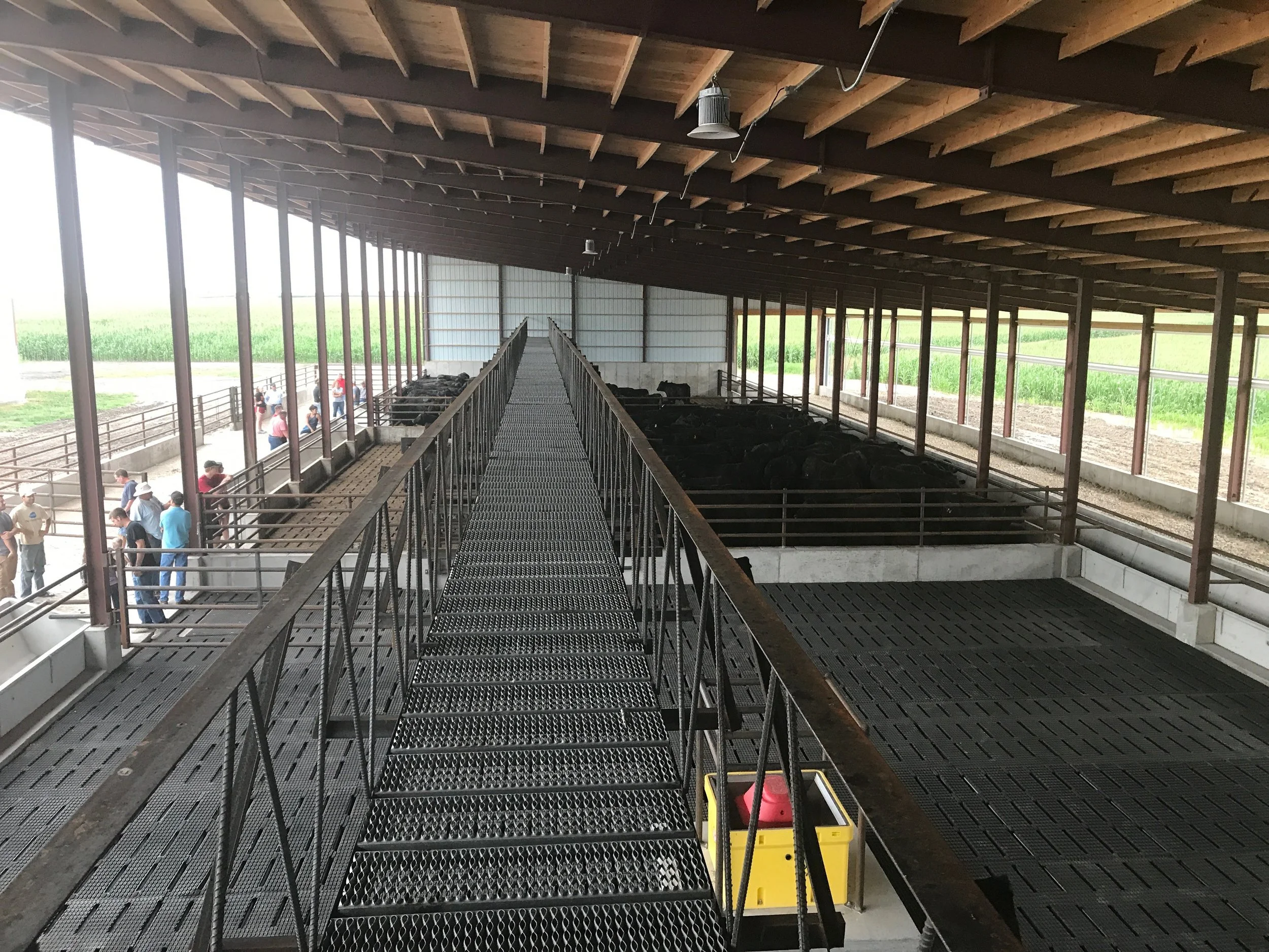 Monoslope Catwalk View 5.jpeg