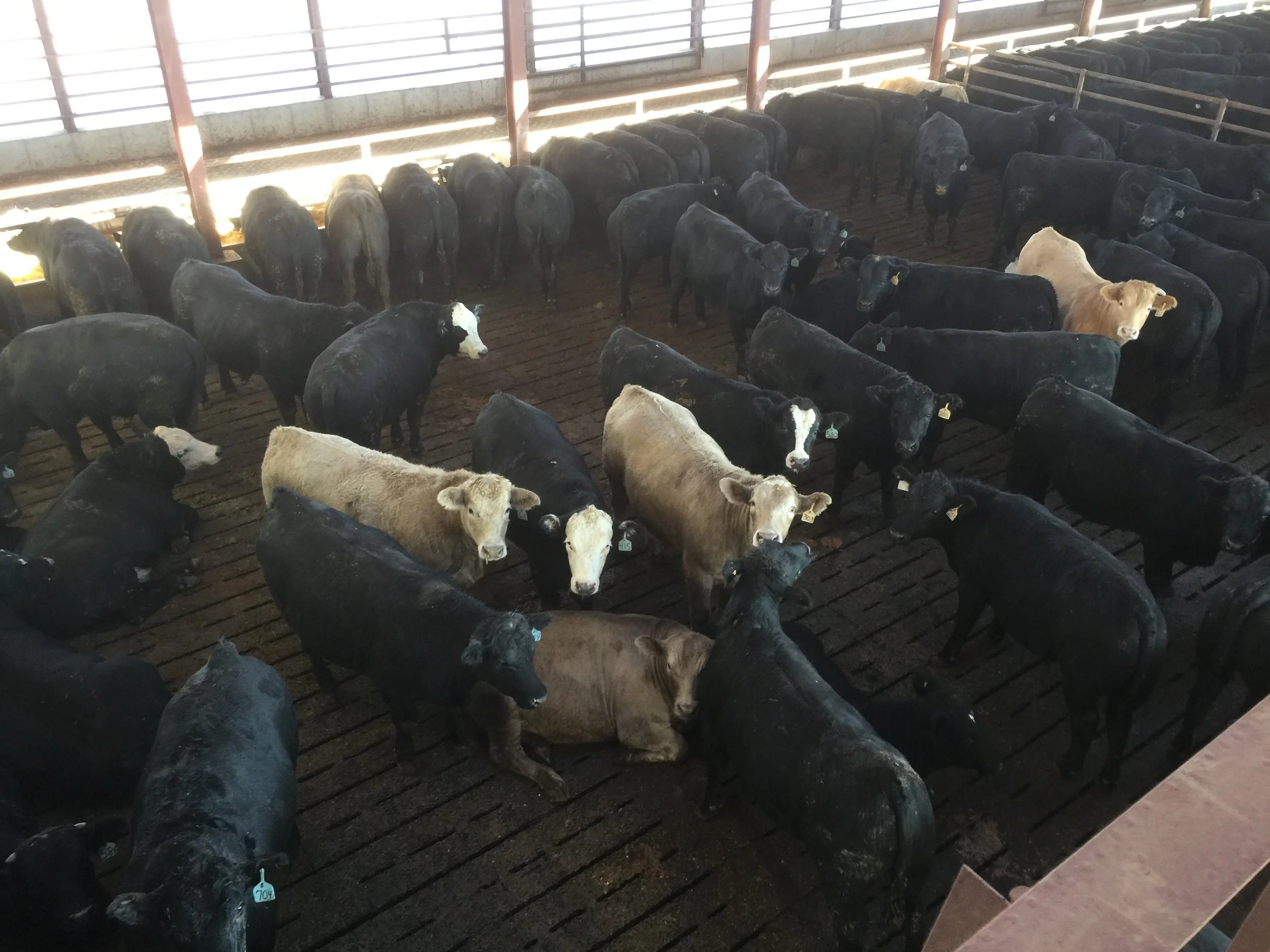 Gable Catwalk View 8.jpeg