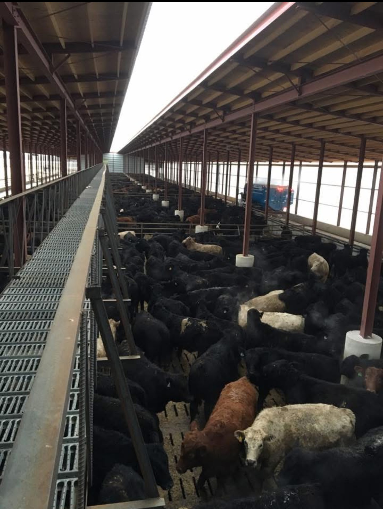 Gable Catwalk View 10.png