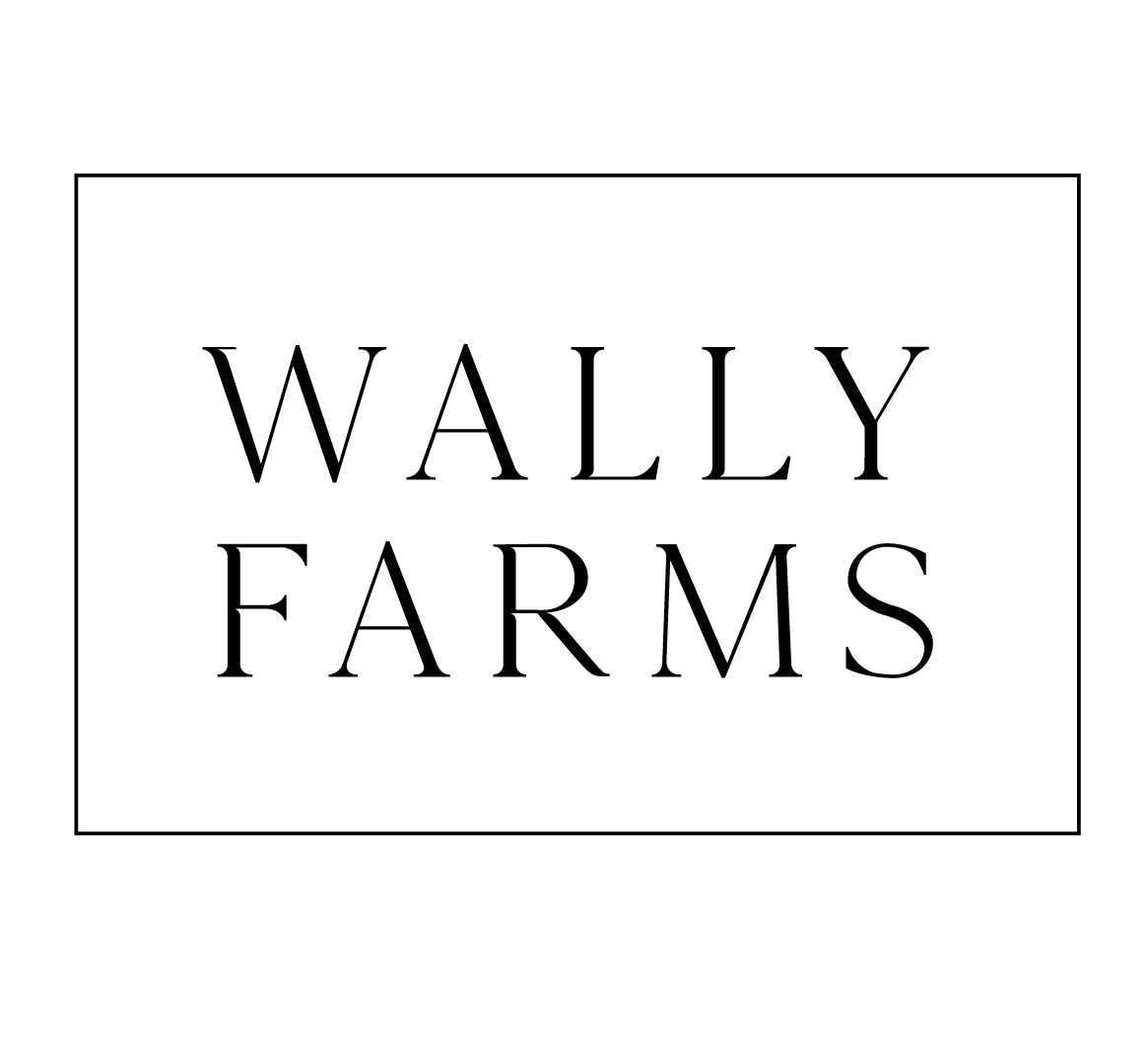 WF-Logo-white.png