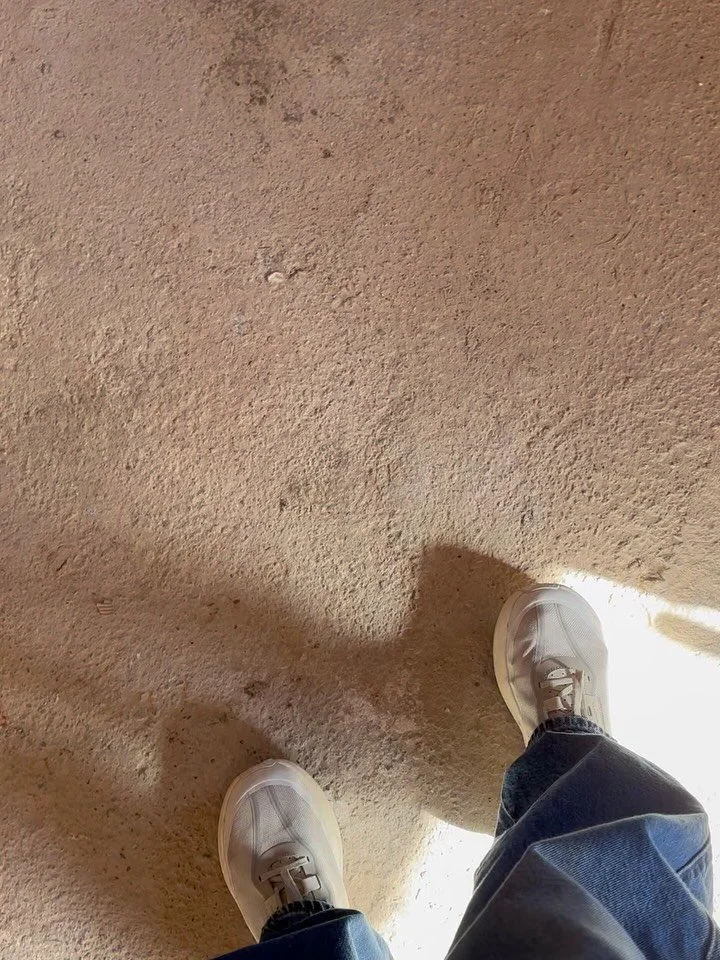 Site visits, textiles, moodboards, and more sunshine than we deserved this week 😌