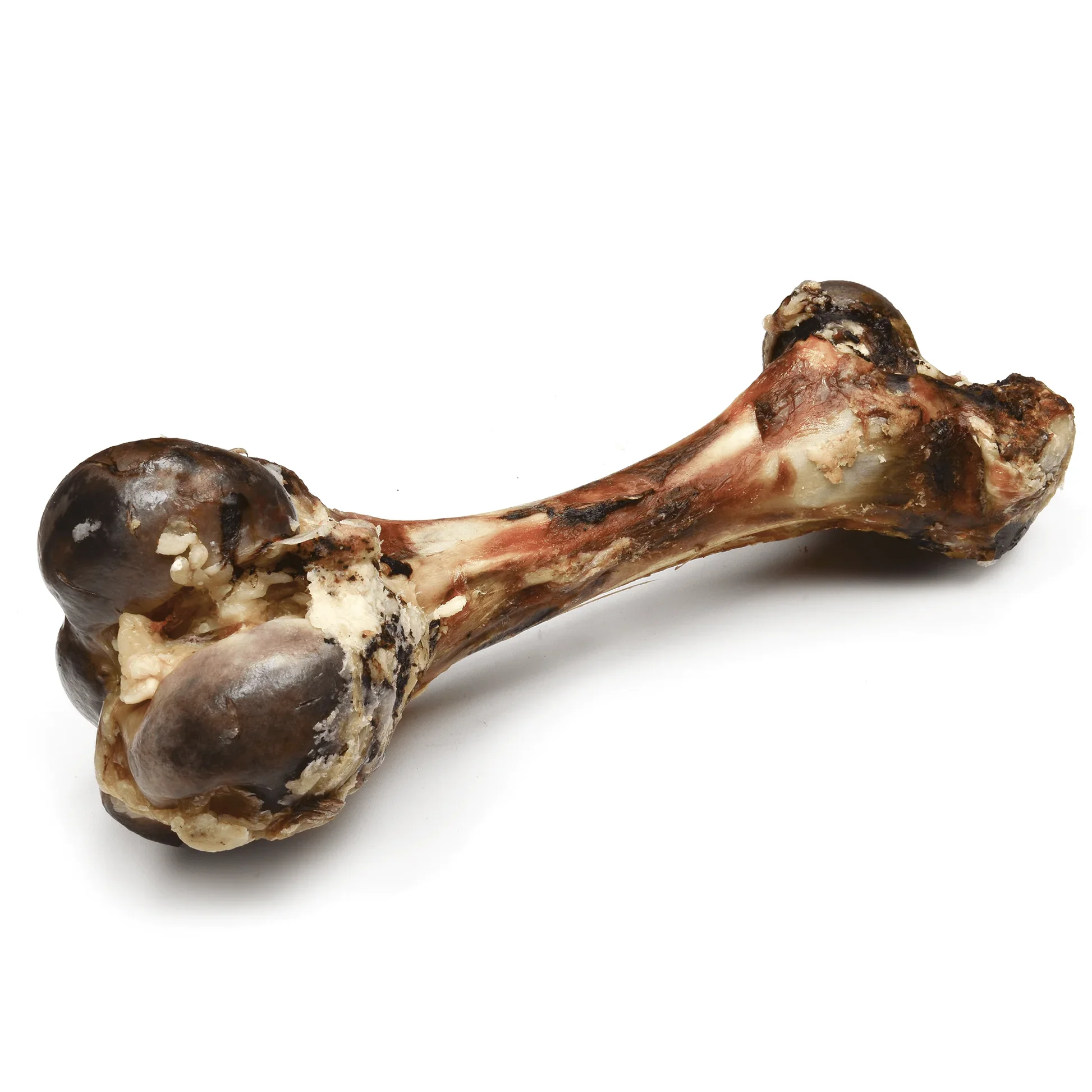 Beef Dino Bones (Dehydrated)