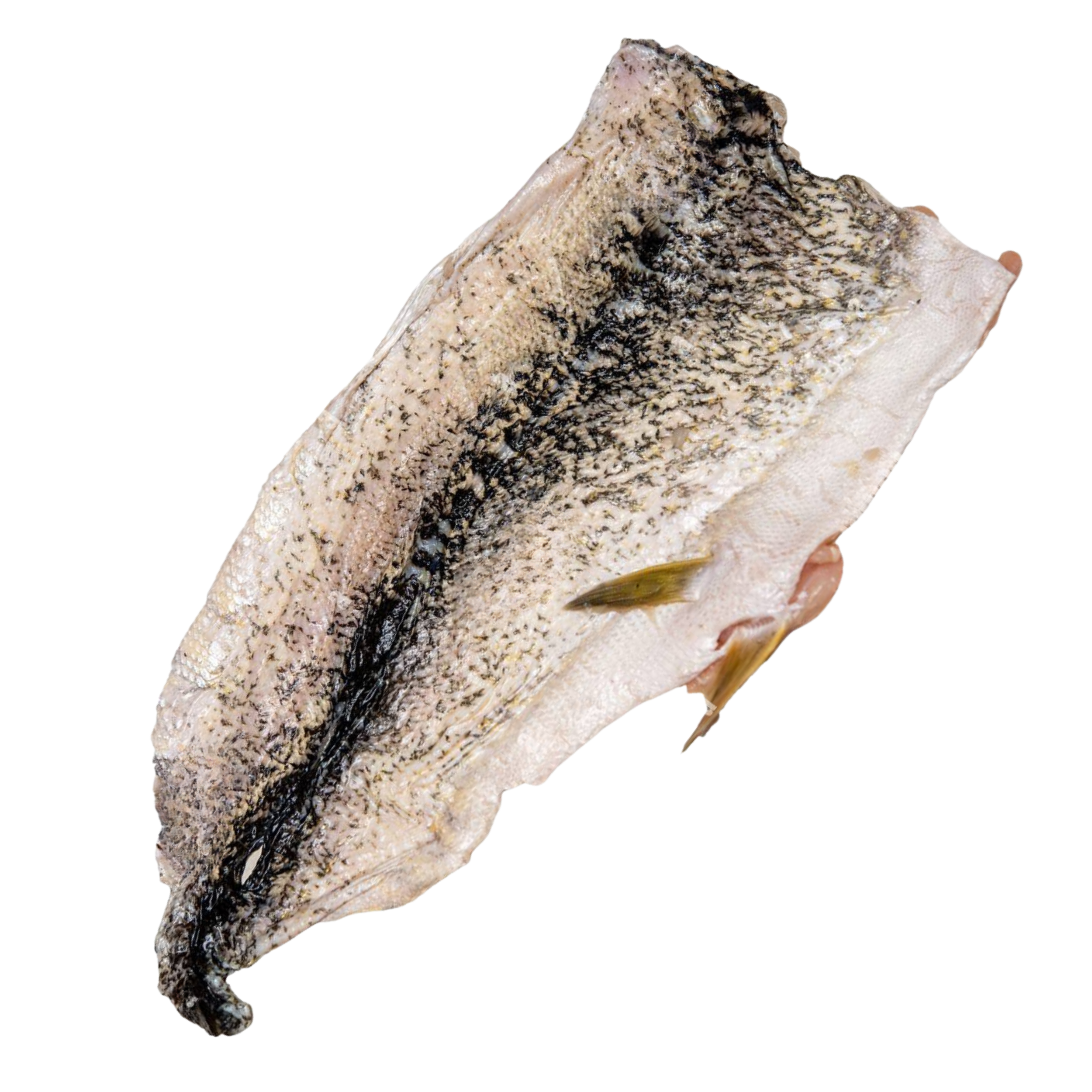 Pike Skins (Dehydrated)