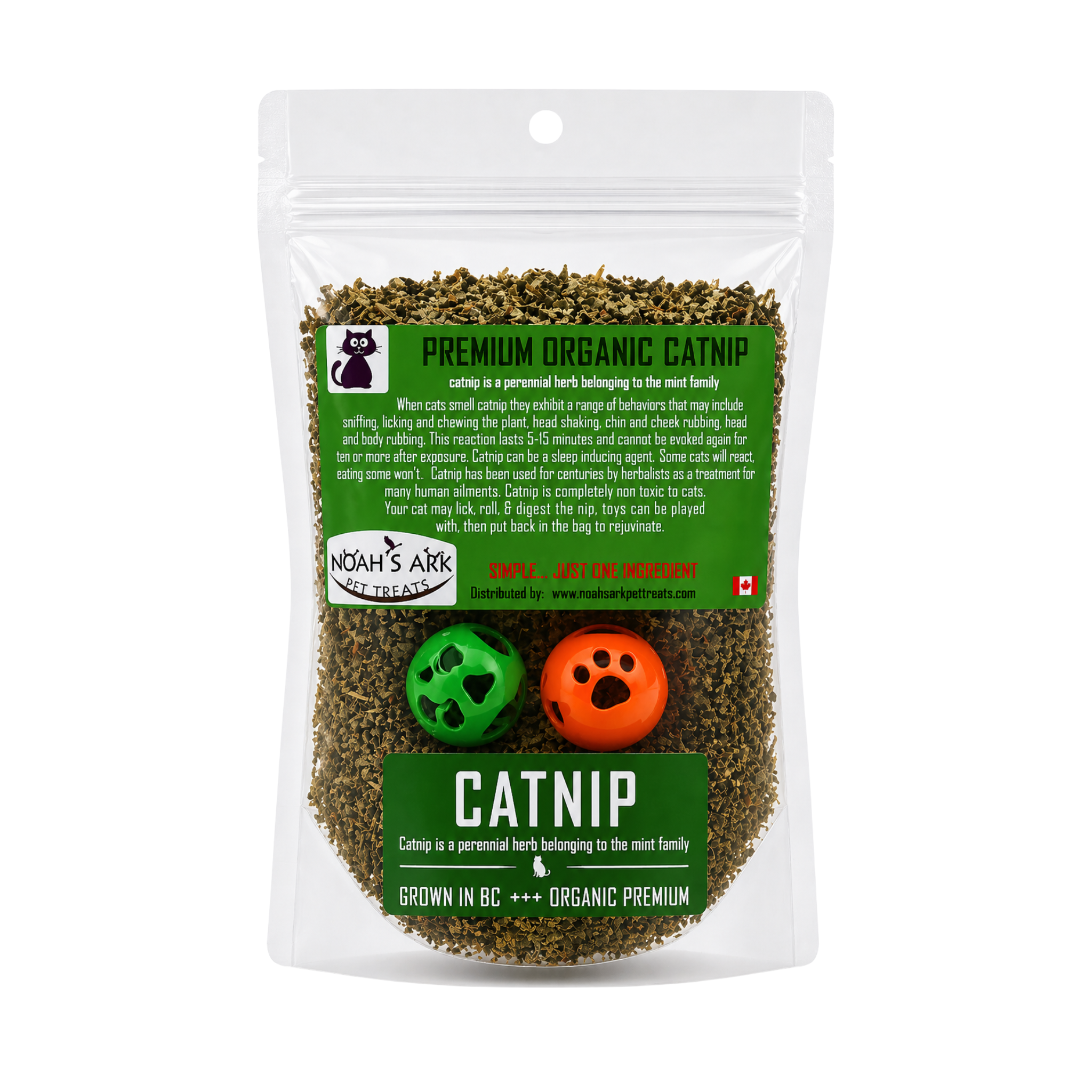 Catnip