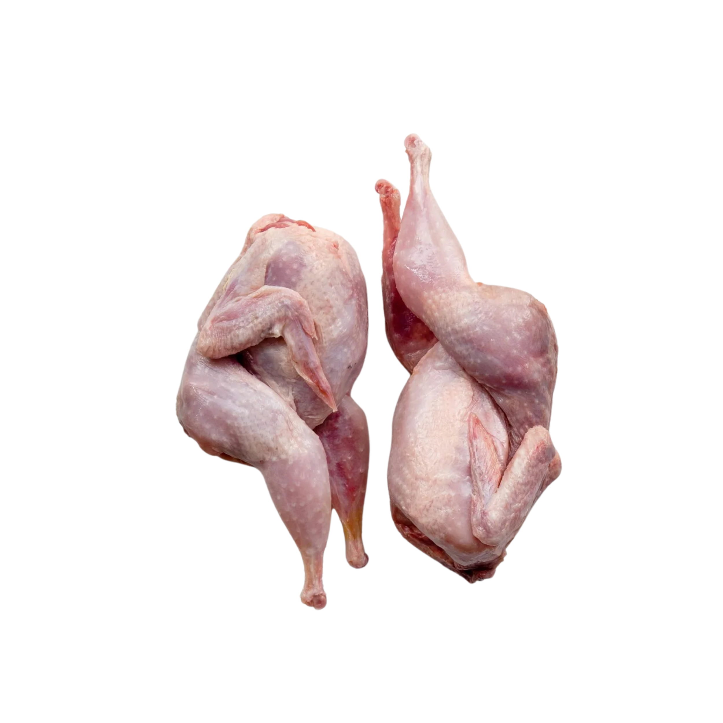 Quail, Whole Bird (Raw)