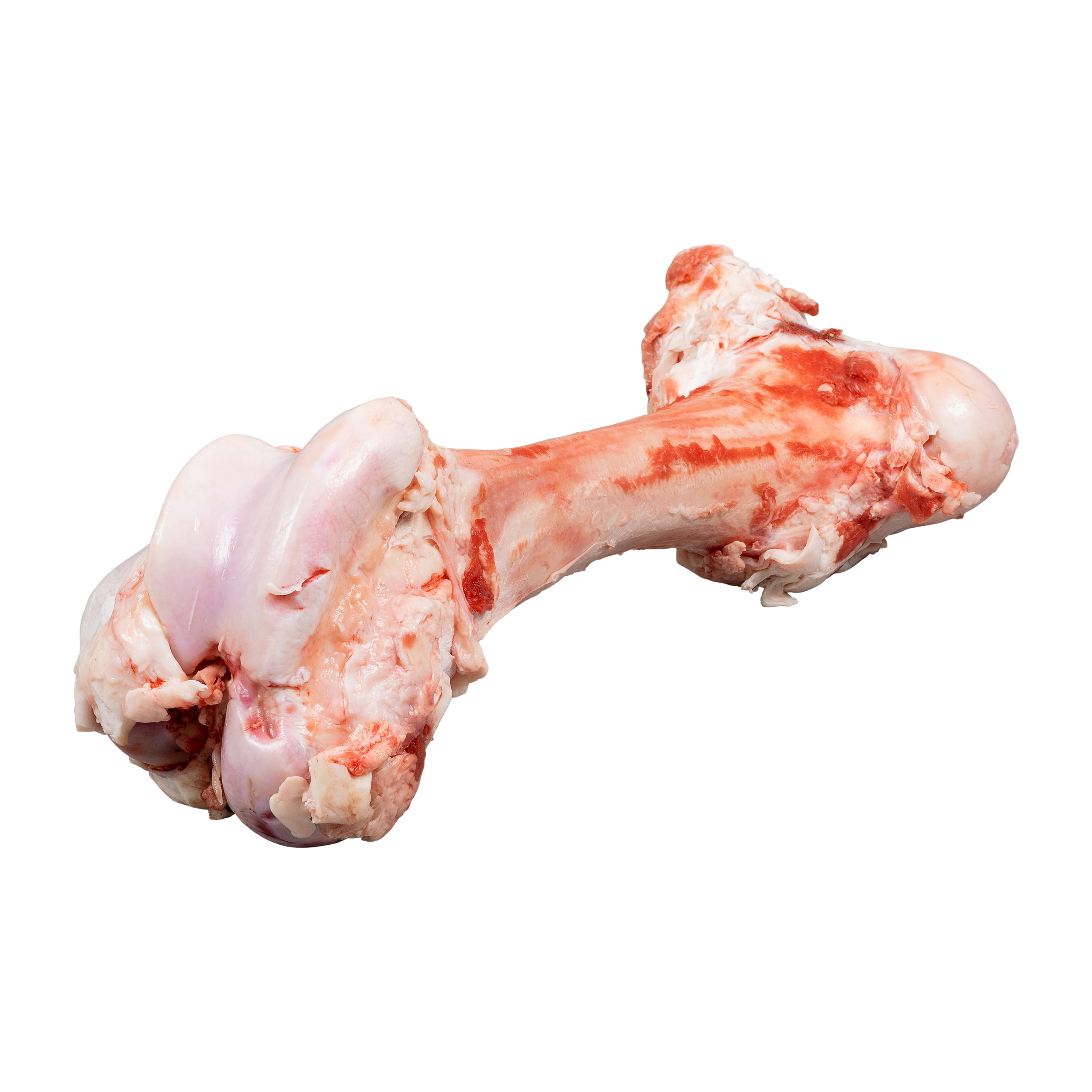 Beef Dino Bones (Raw)