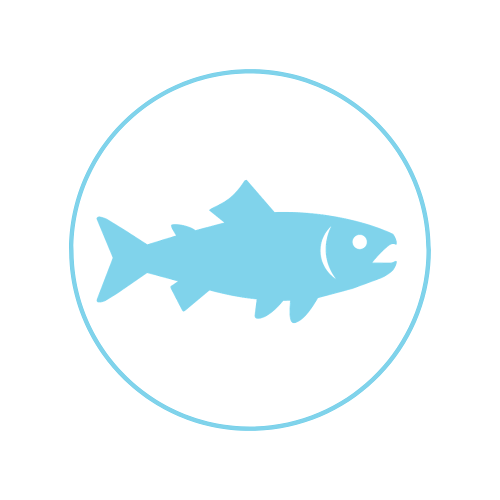 Salmon