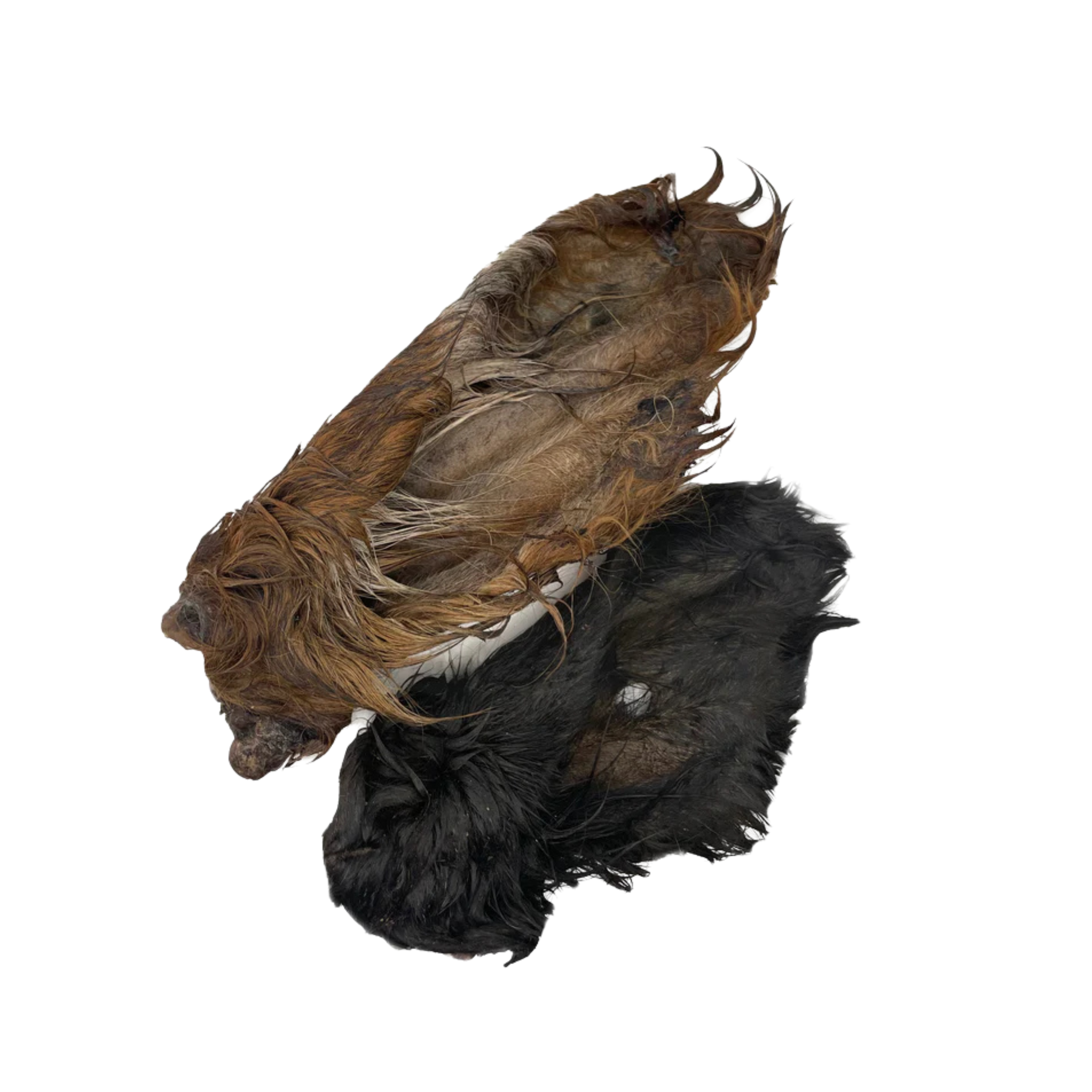 Beef Ear (Cow ear) (Dehydrated)