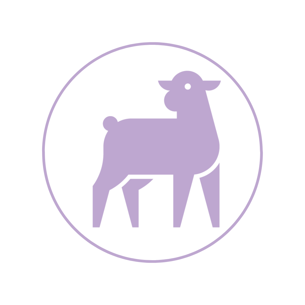 Lamb