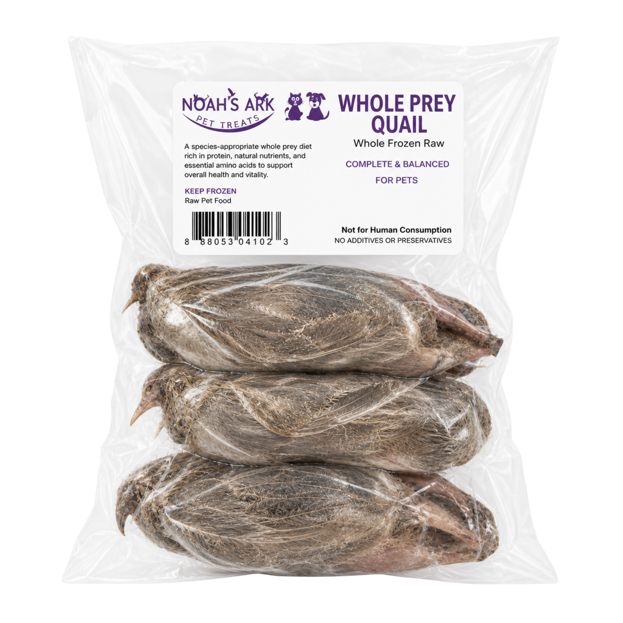 Quail, Whole Bird (Raw)