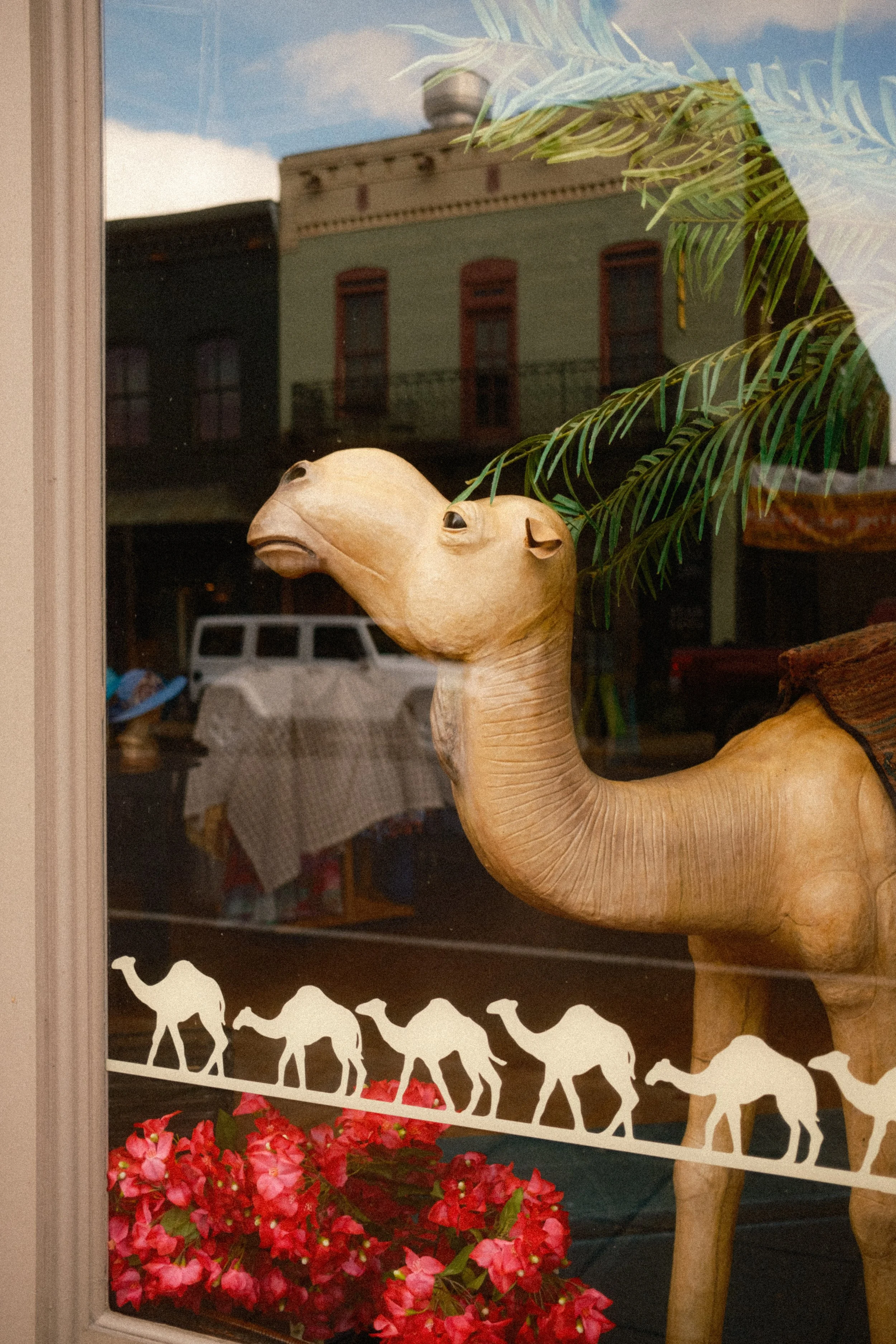 The Cameleer, East Davis Street, est. 1992