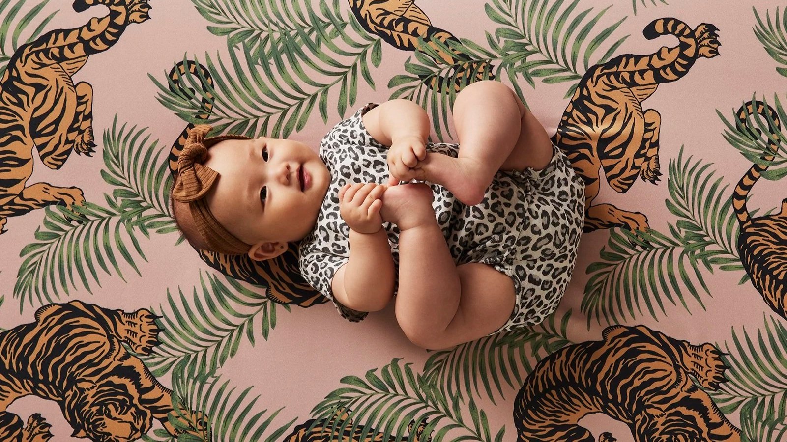 FH'23 ZBabie Concepts