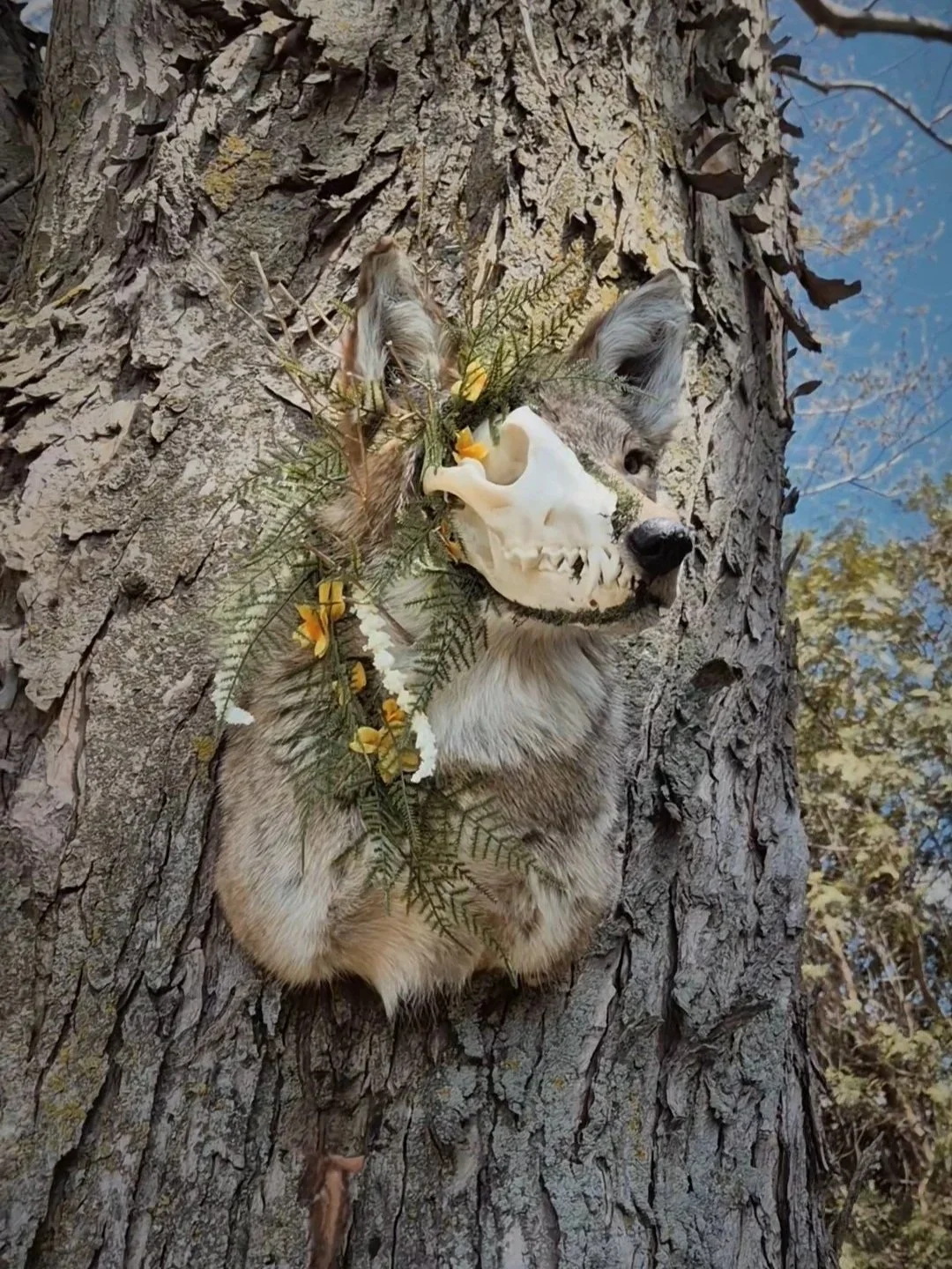 Tête d'un animal sauvage avec un crâne animalier, décoré de feuilles, de fleurs et de branches, fixé à un arbre