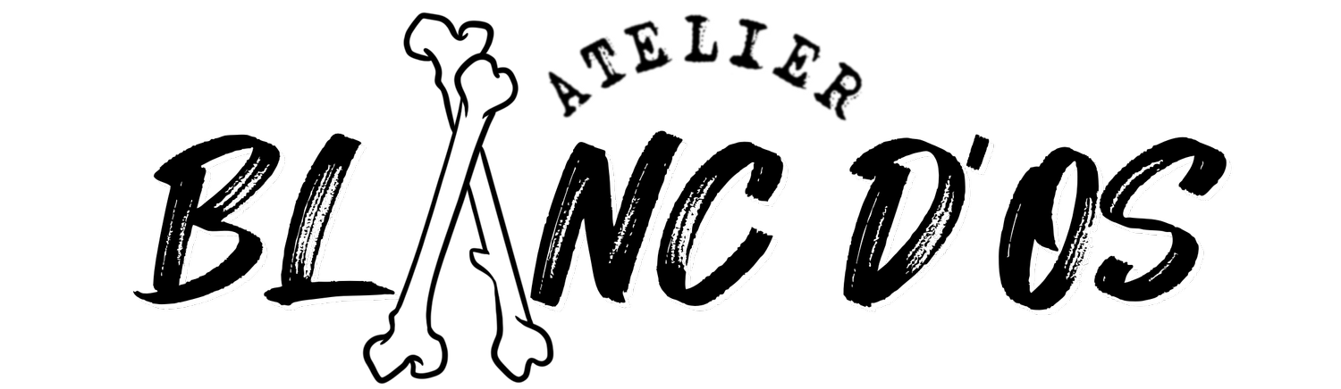 Atelier Blanc d'Os Taxidermie