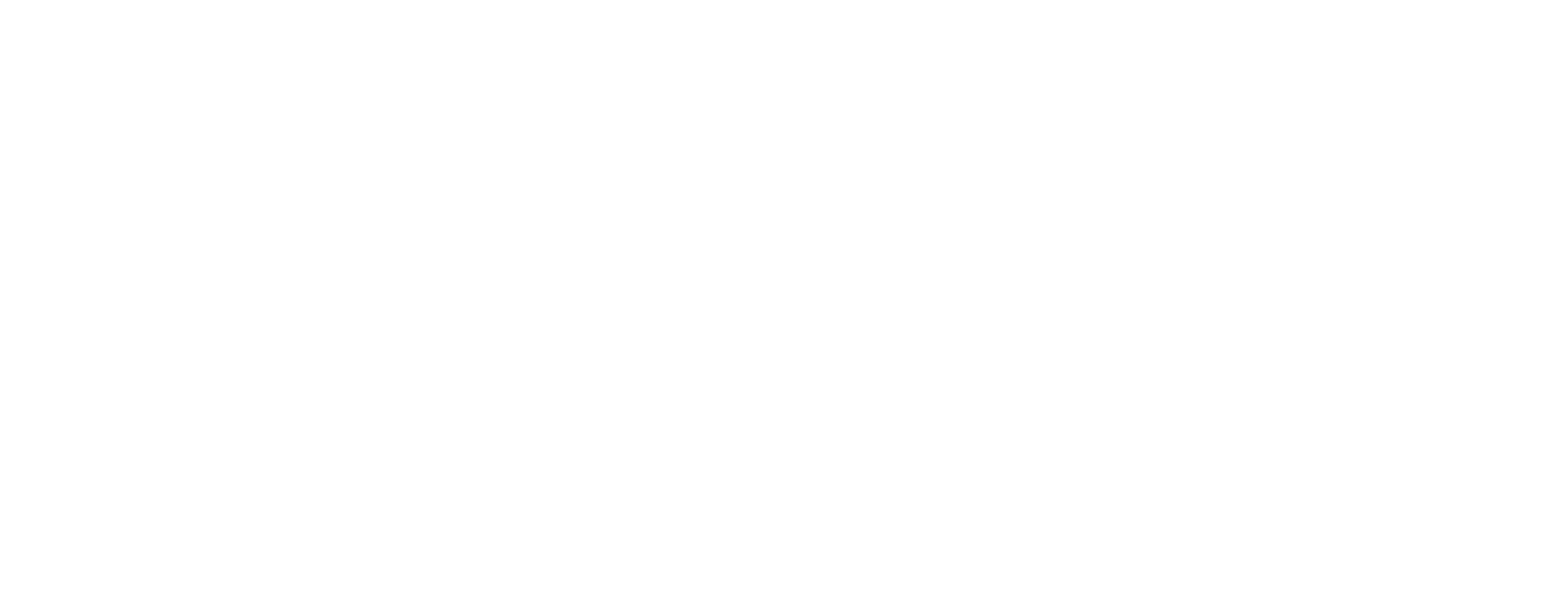 IronRing Capital