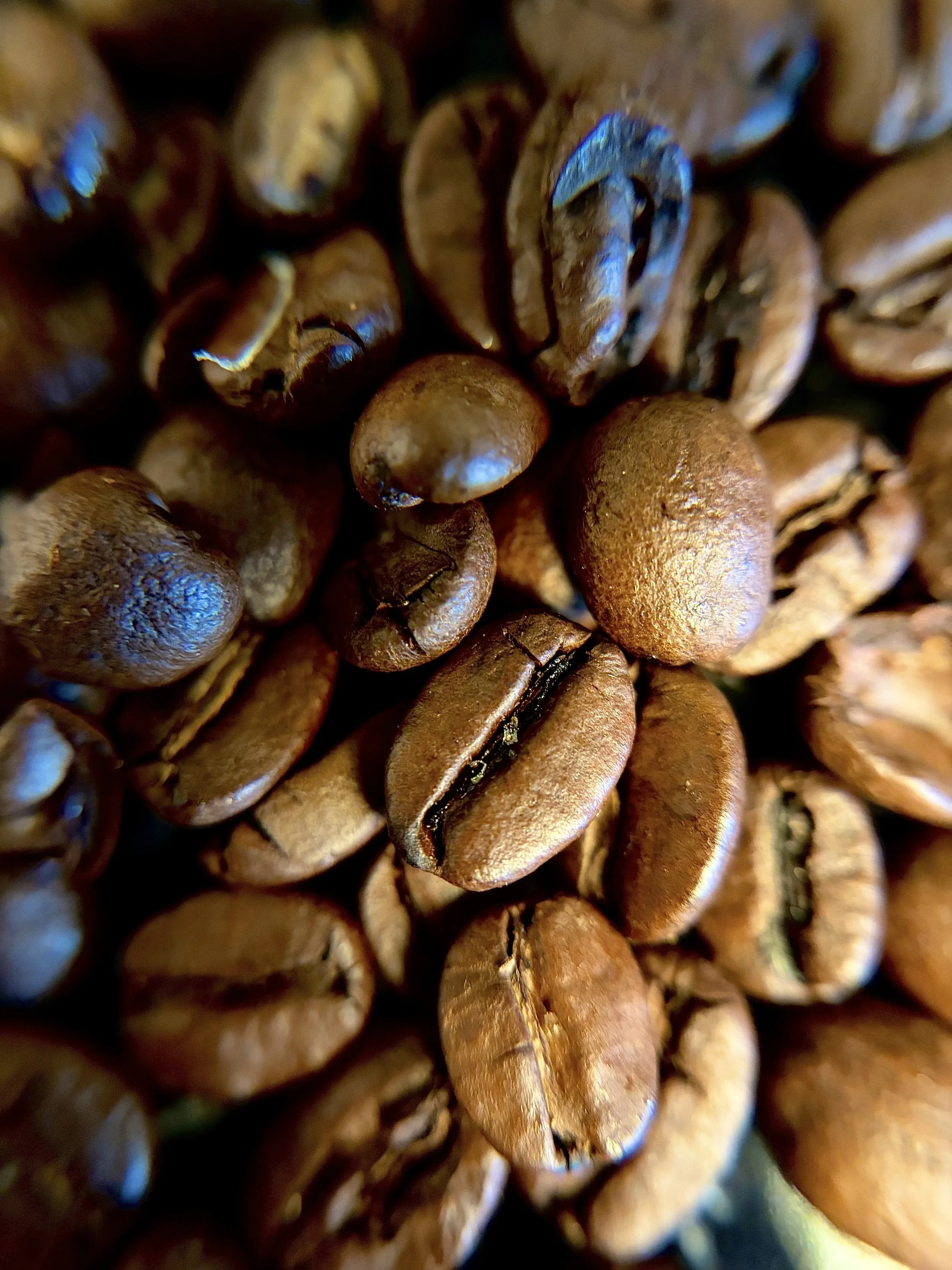 Close-up image of roasted coffee beans.