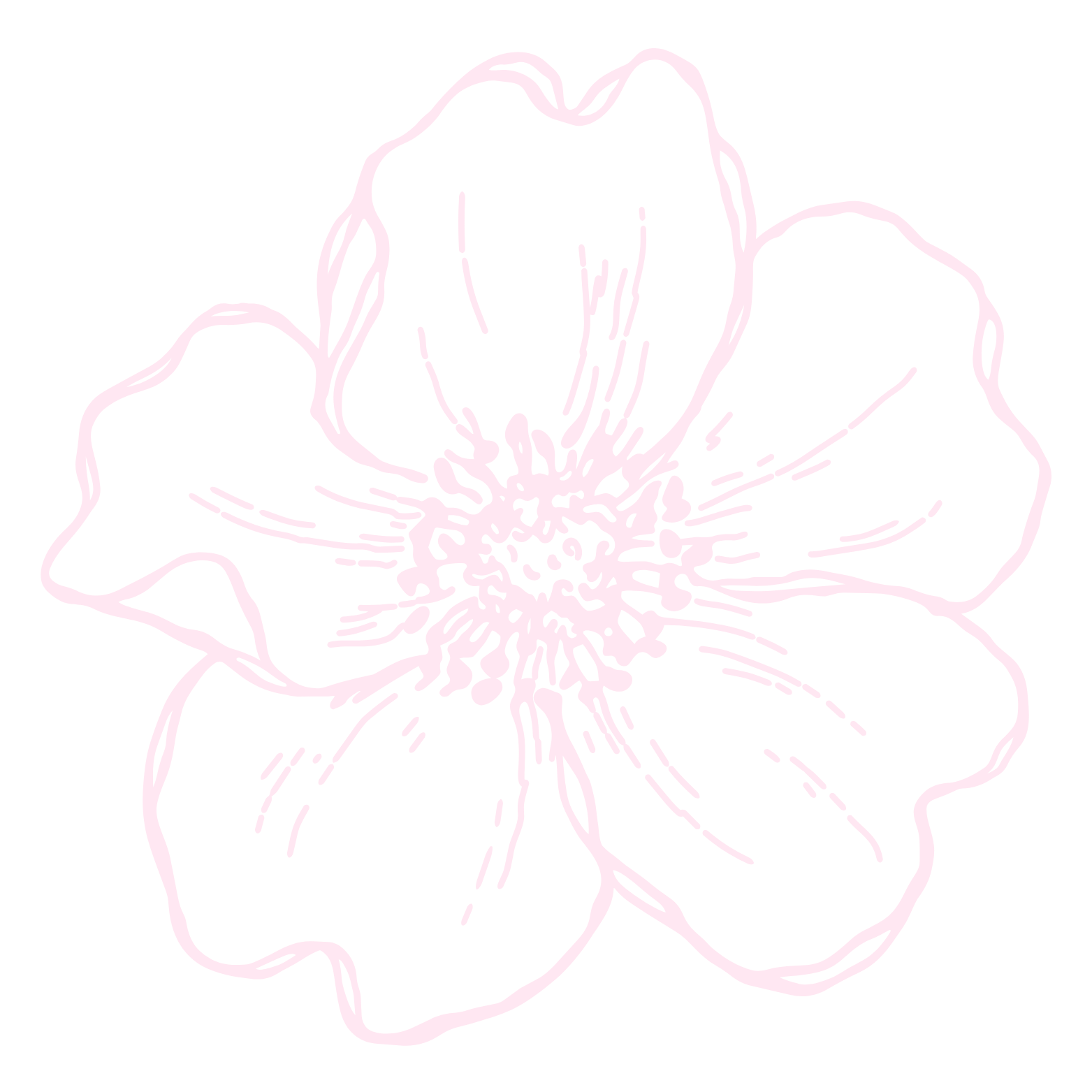 Outline of a pink flower with five petals on a black background.