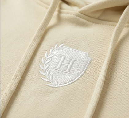 zoomed in hoodie.PNG