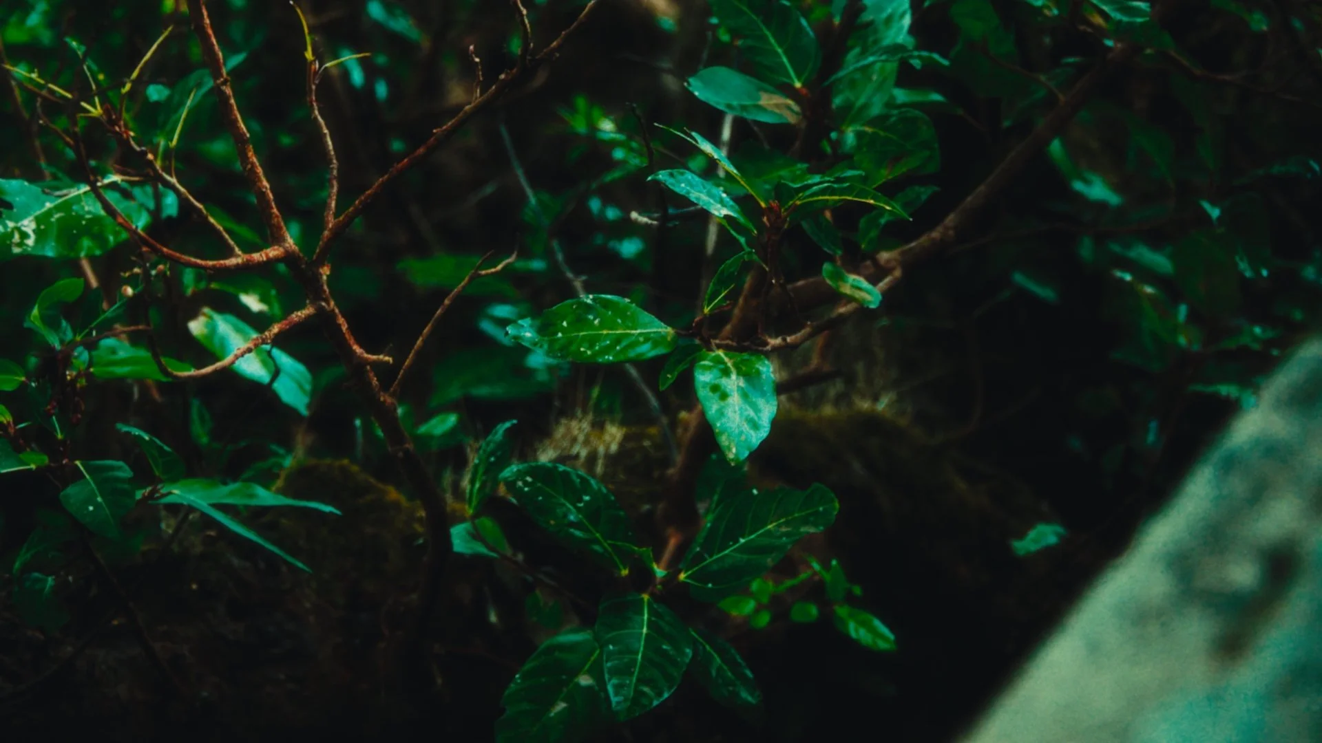 Still 2026-03-23 223909_1.26.1.jpg