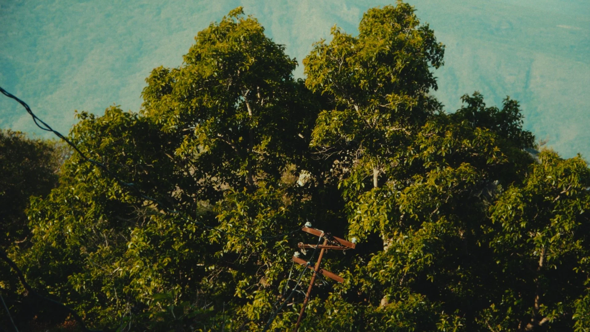 Still 2026-03-23 223909_1.30.1.jpg