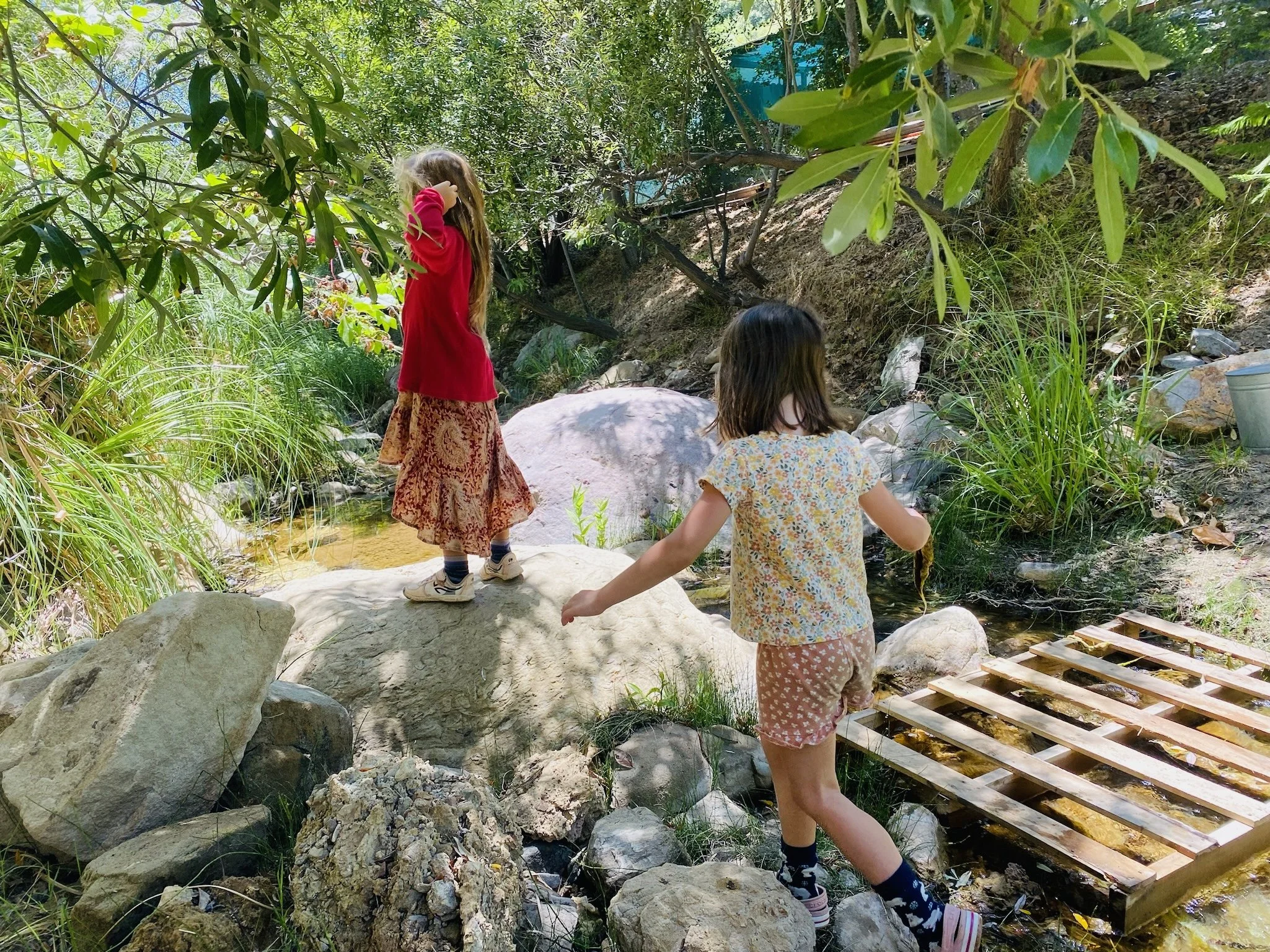 After school Programs (ages 3-10 years)