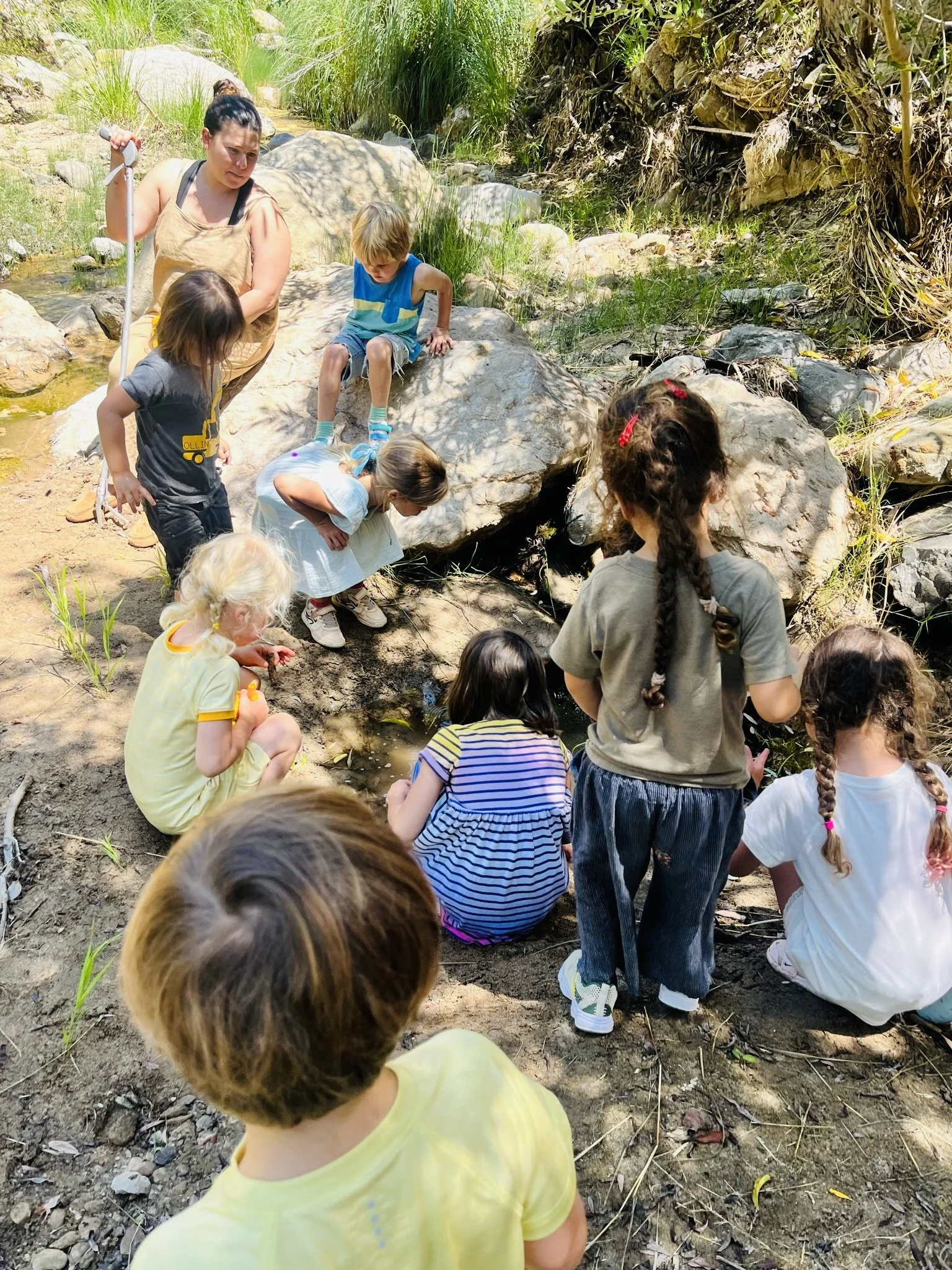 Summer School 2026 (ages 2-7 years)